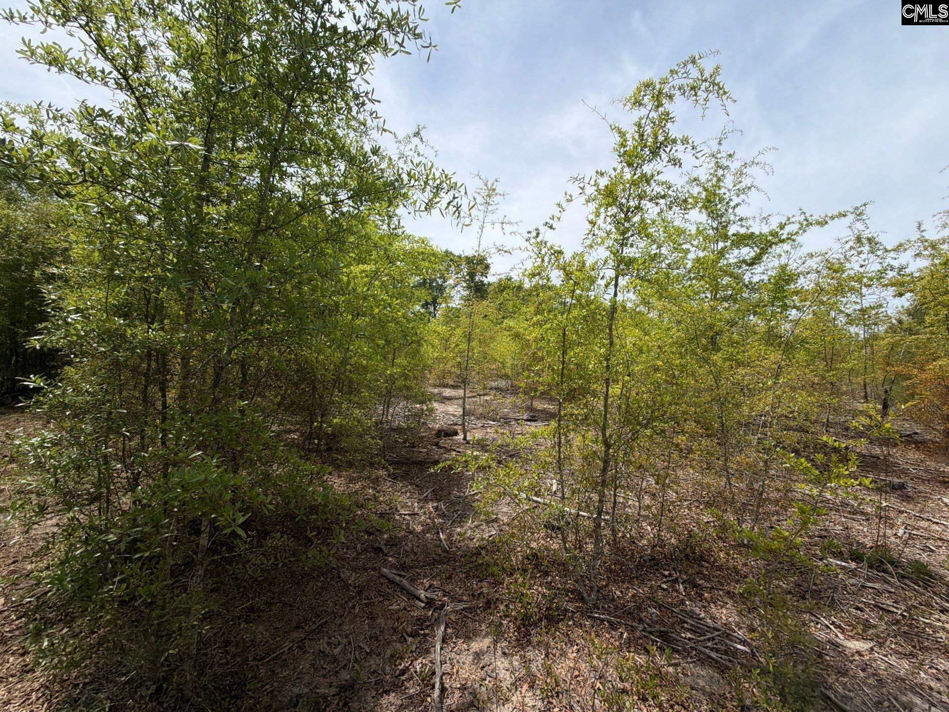 main property photo 25