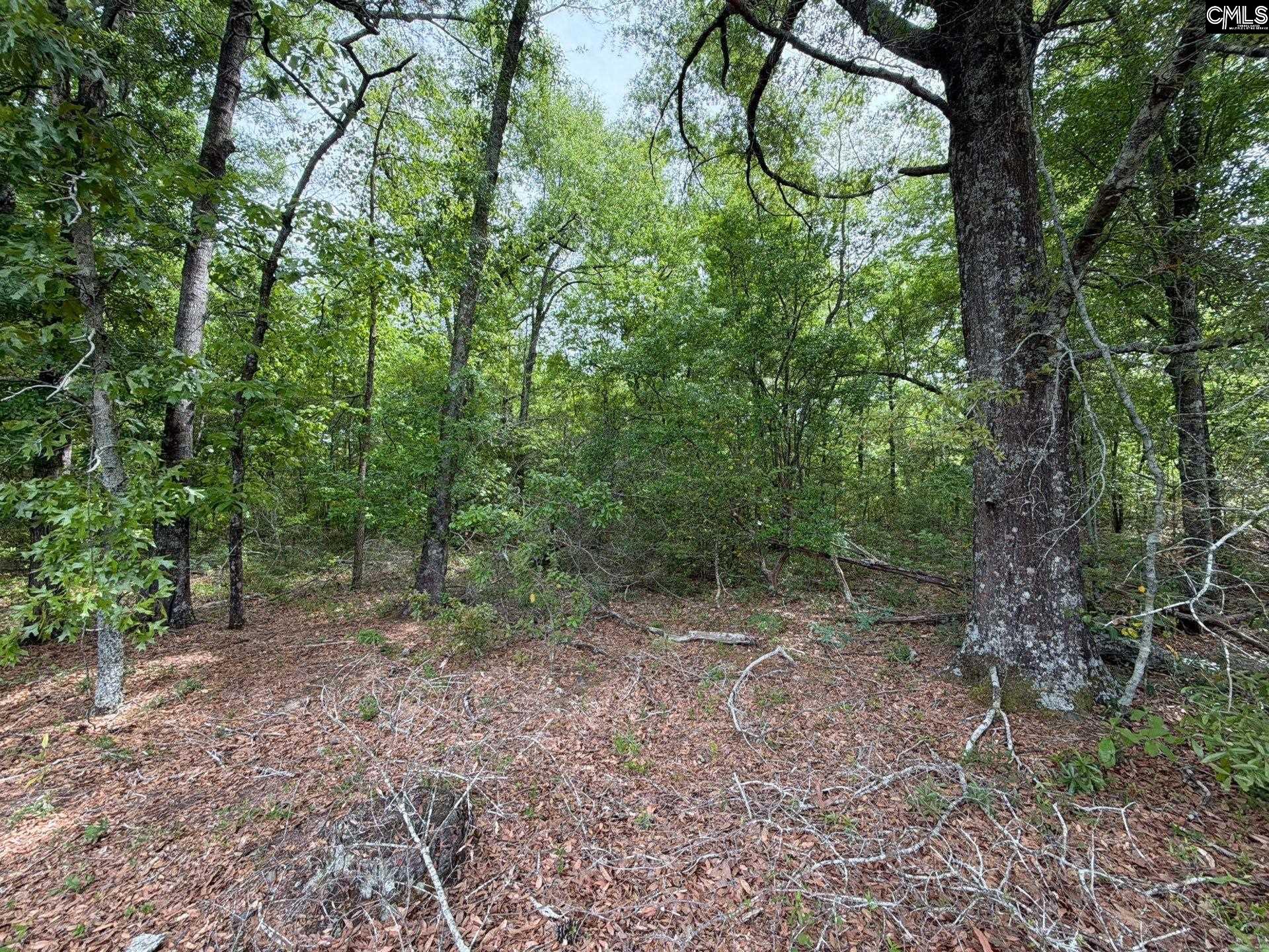 main property photo 36
