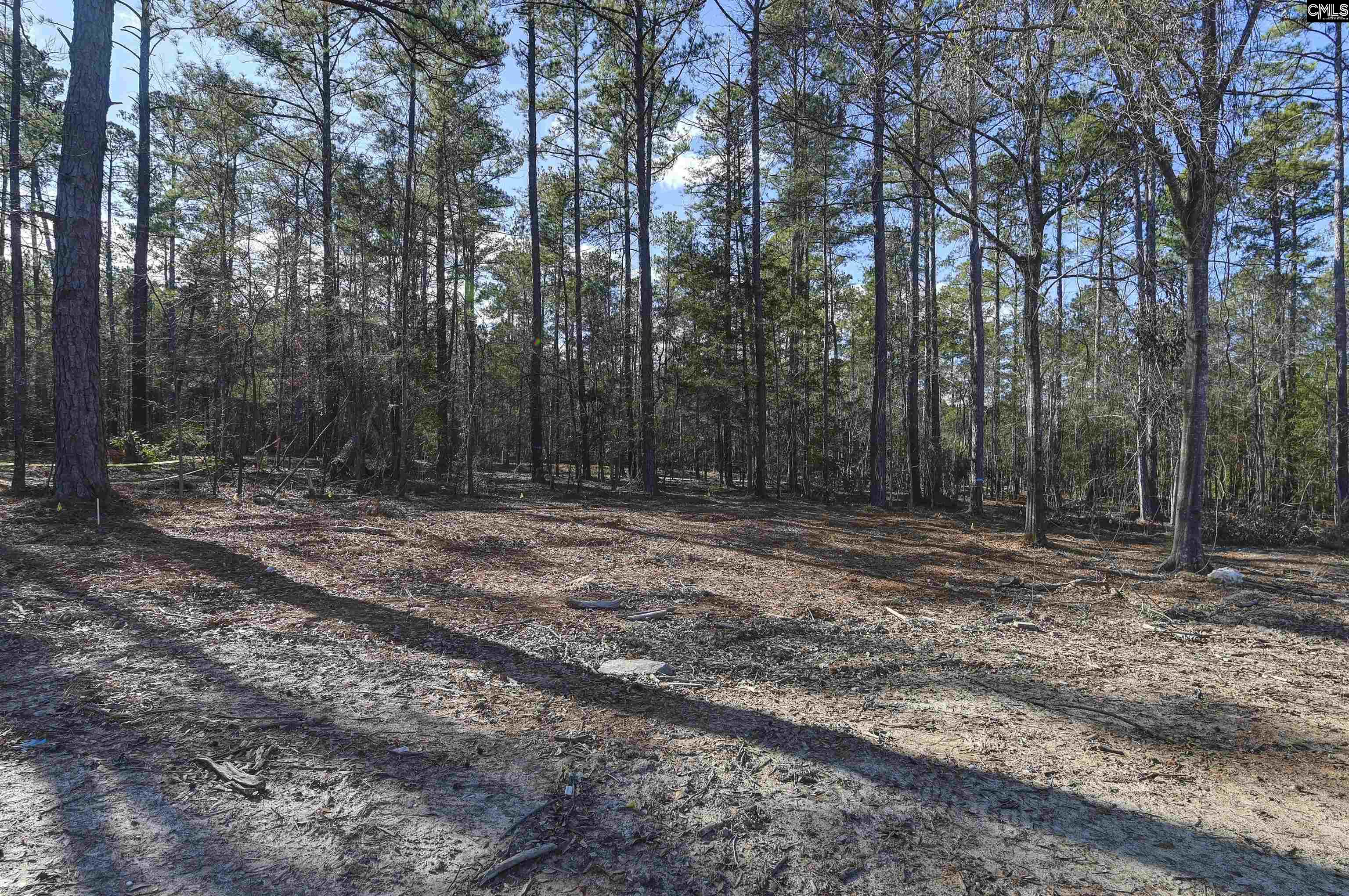 main property photo 54