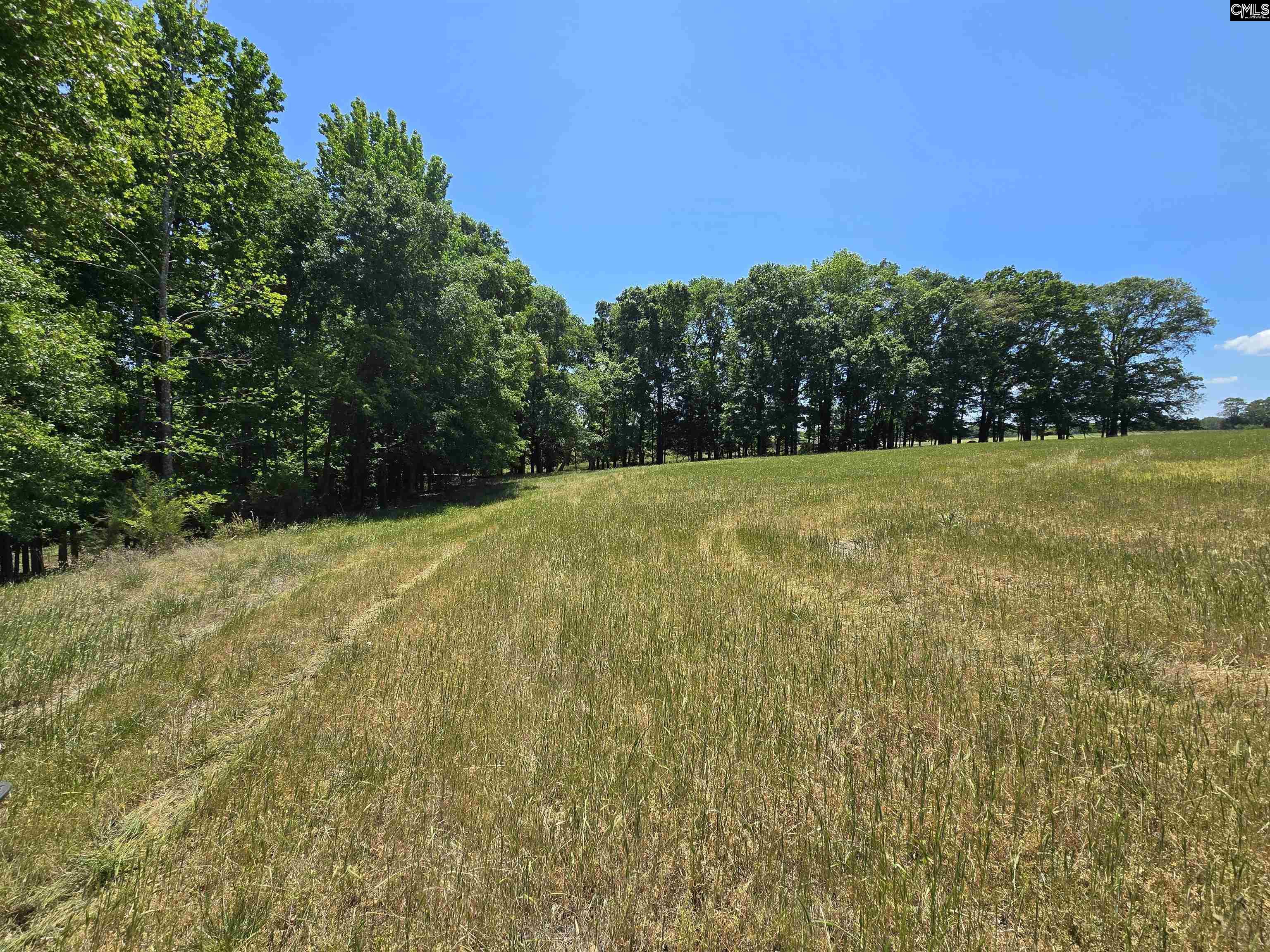 main property photo 47