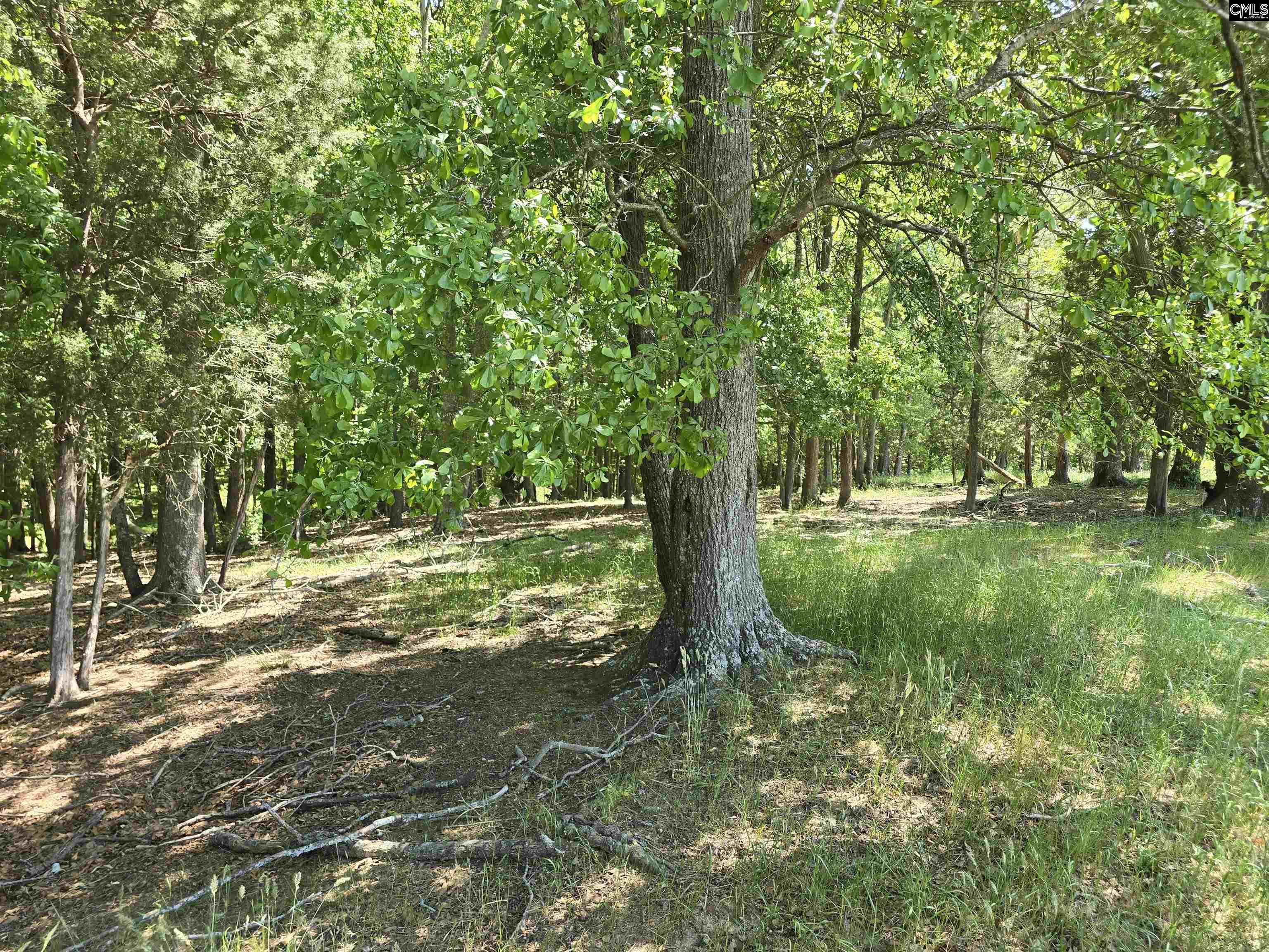 main property photo 48
