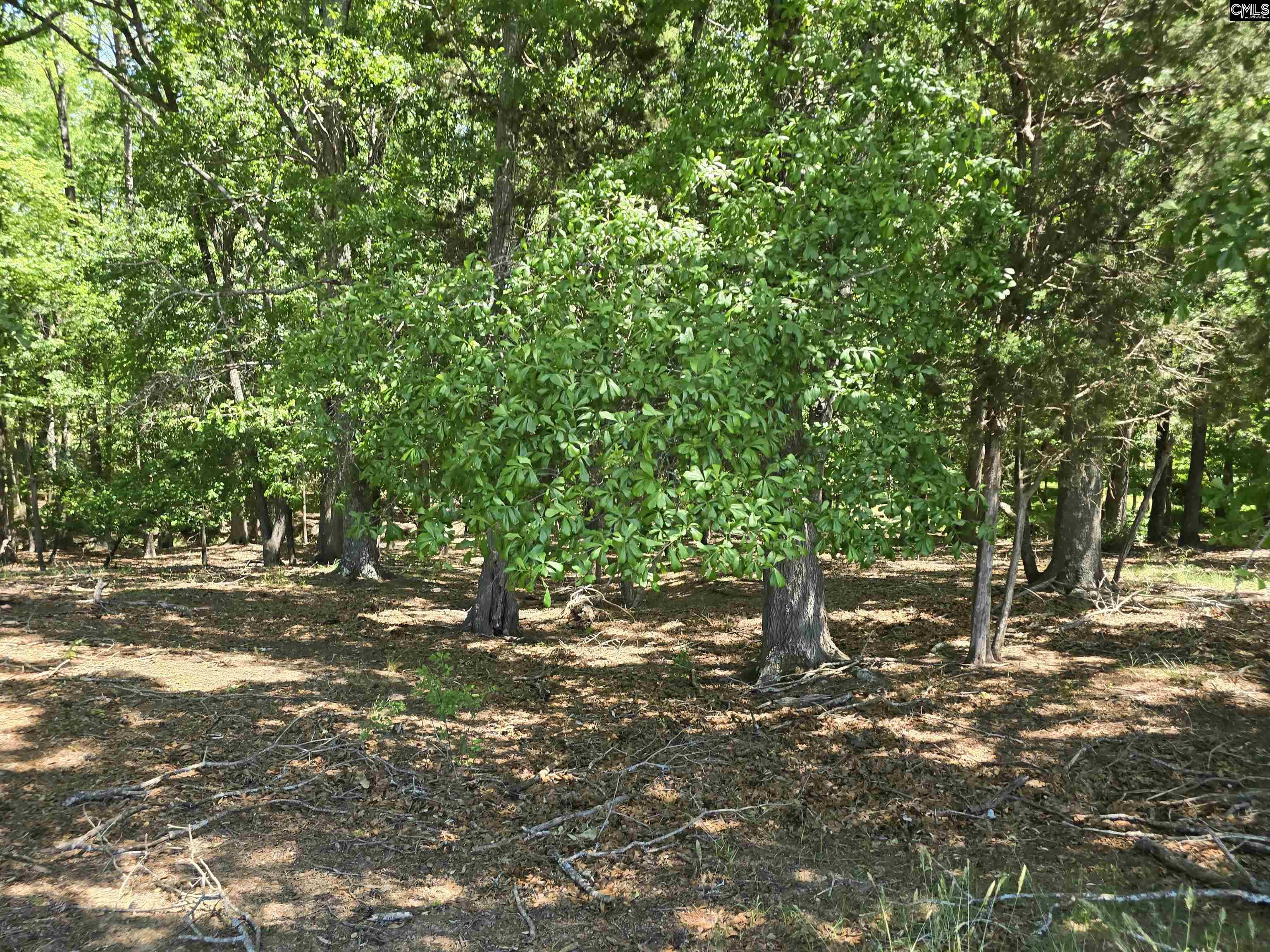 main property photo 53