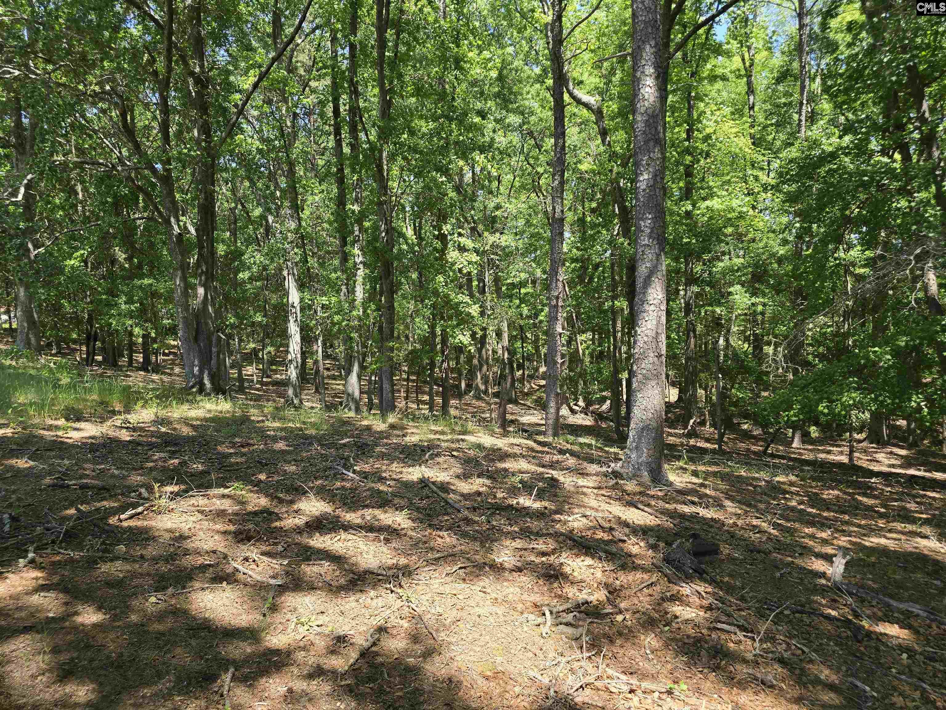 main property photo 57