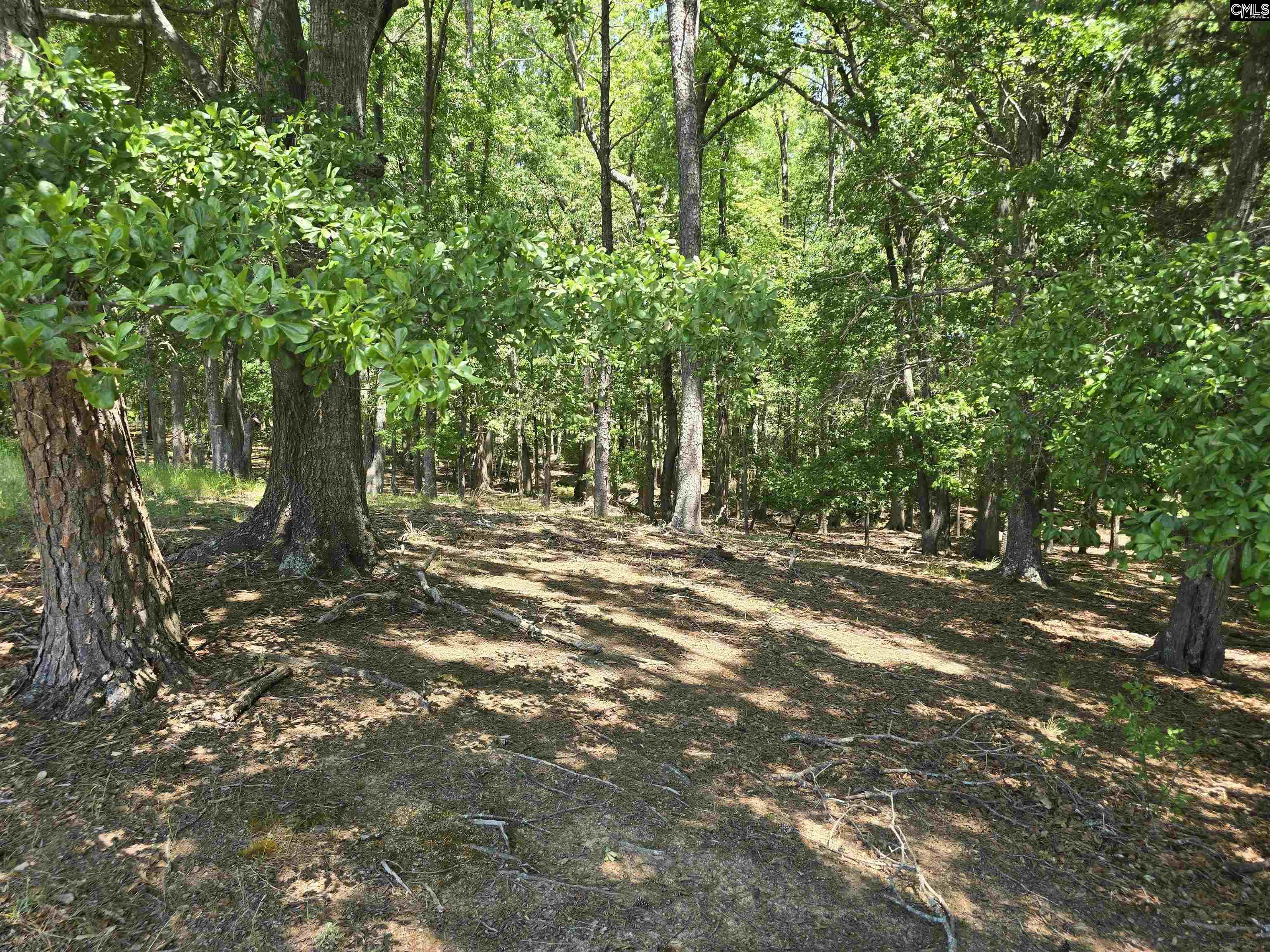 main property photo 61