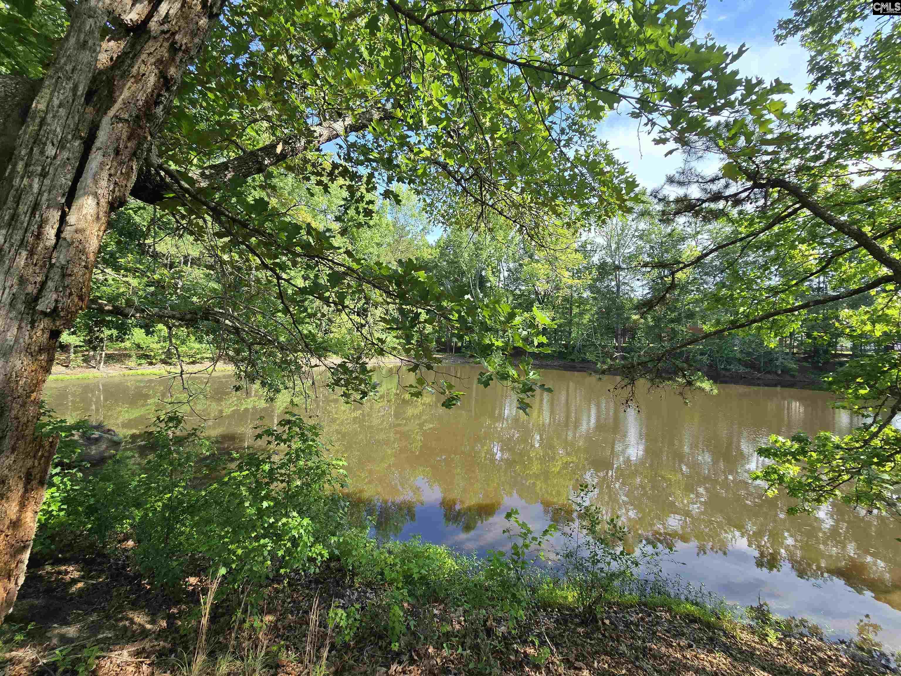 main property photo 74