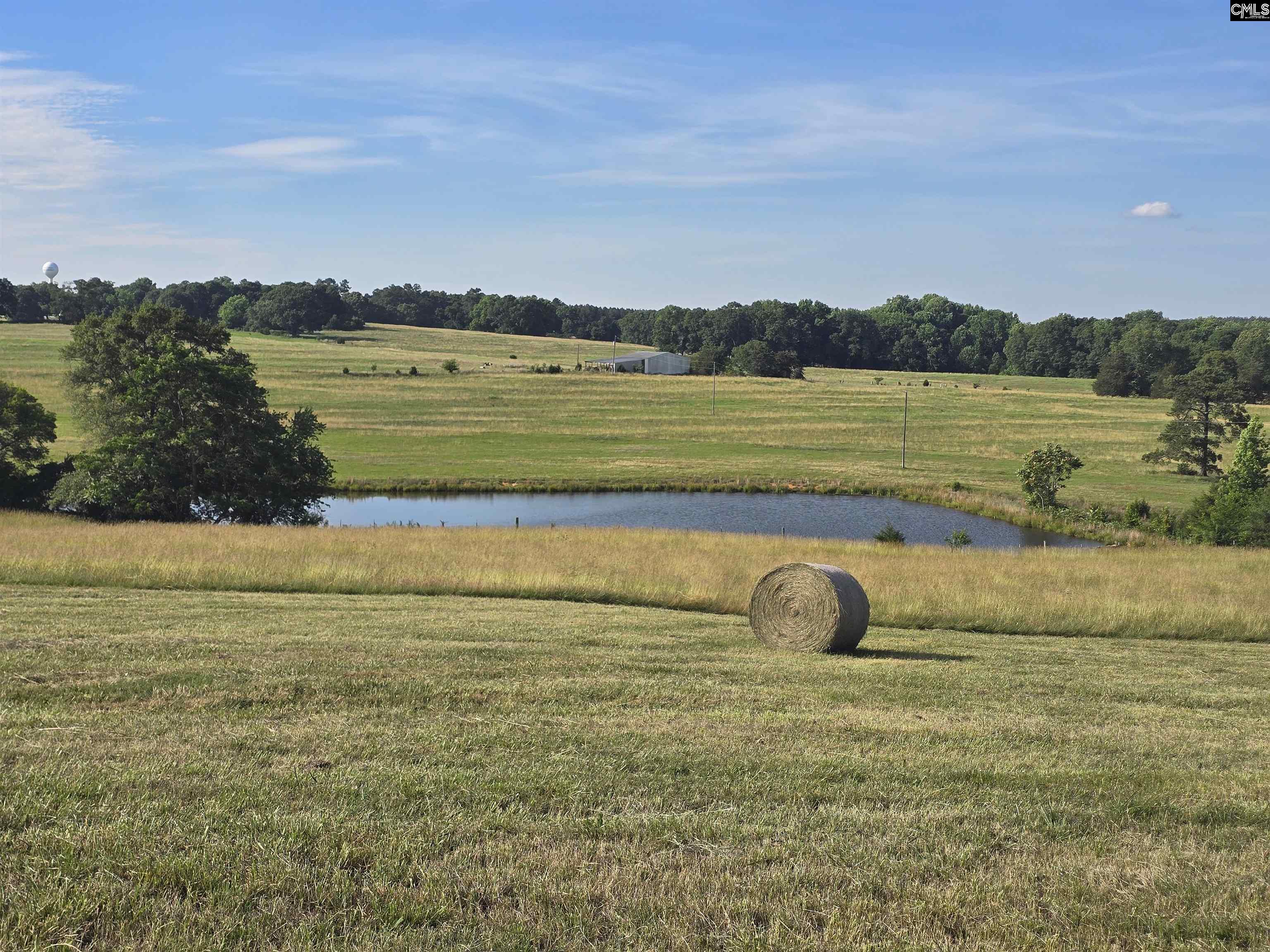 main property photo 78