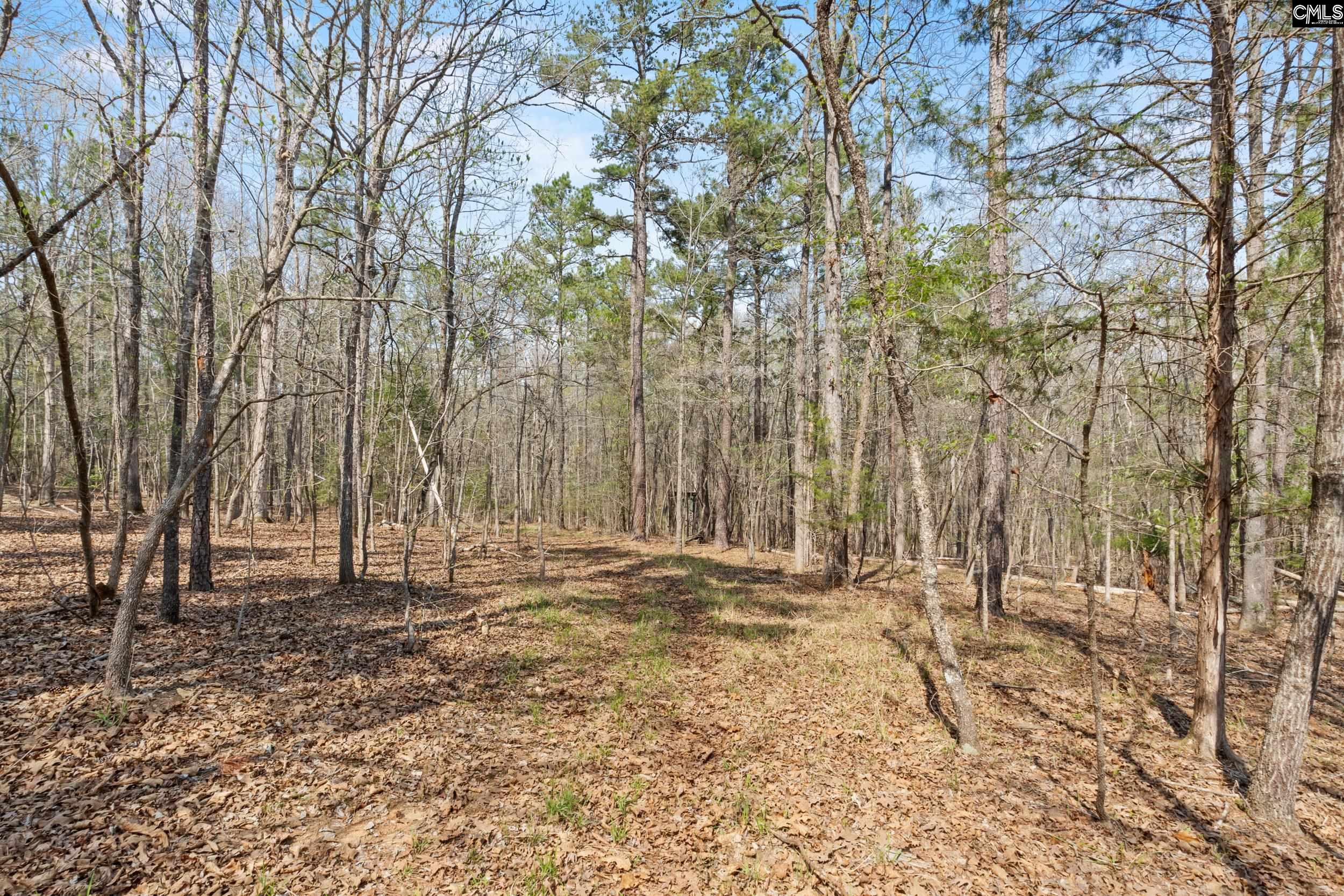 main property photo 52
