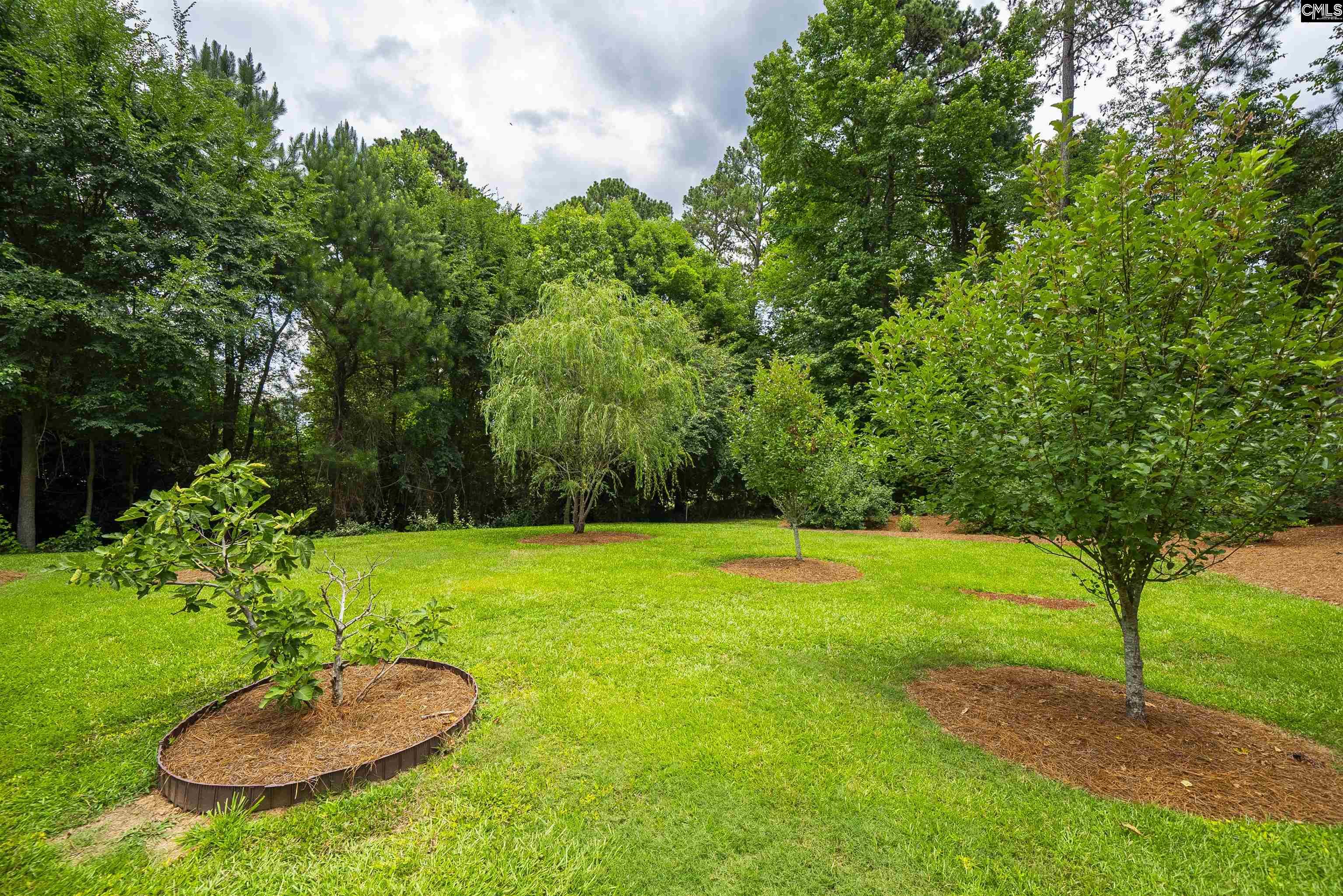 main property photo 81
