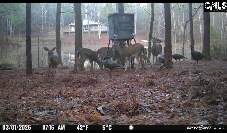 main property photo 56