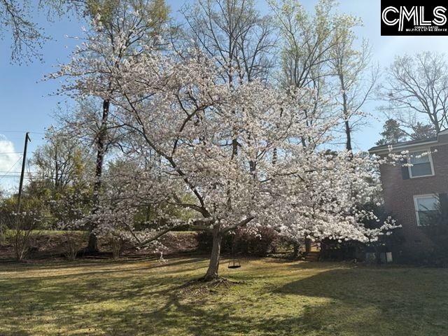 main property photo 74