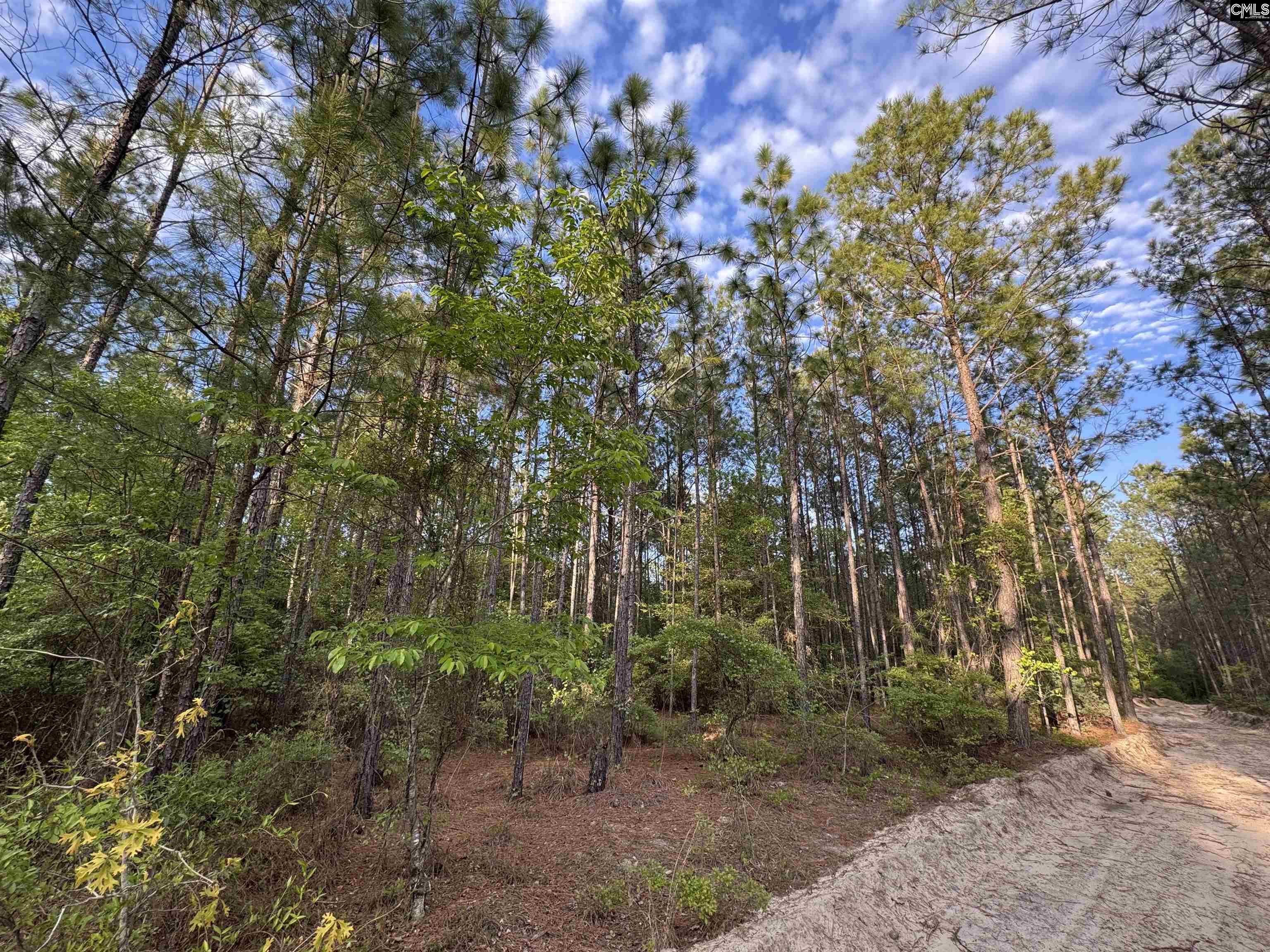 main property photo 21