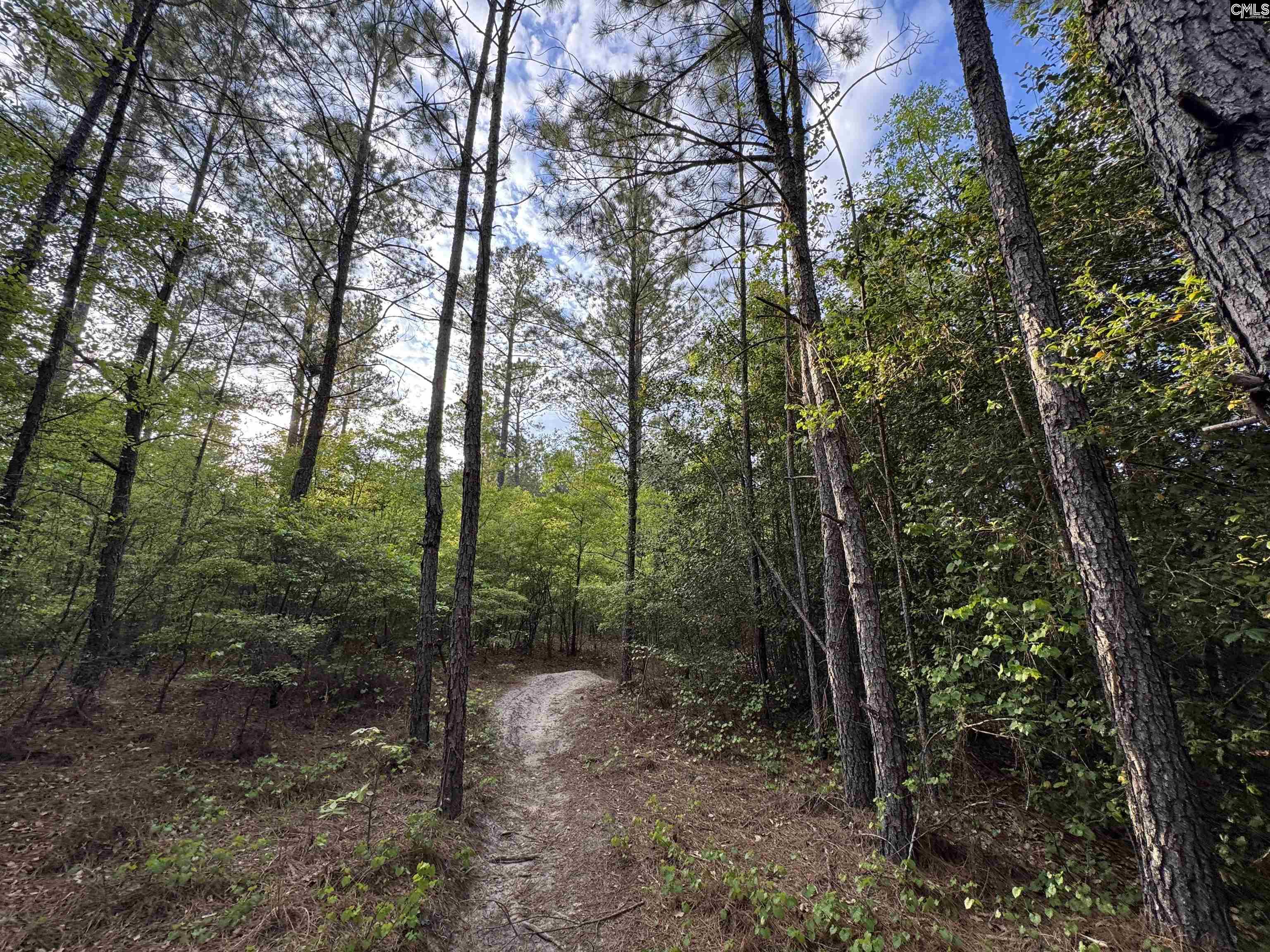 main property photo 23