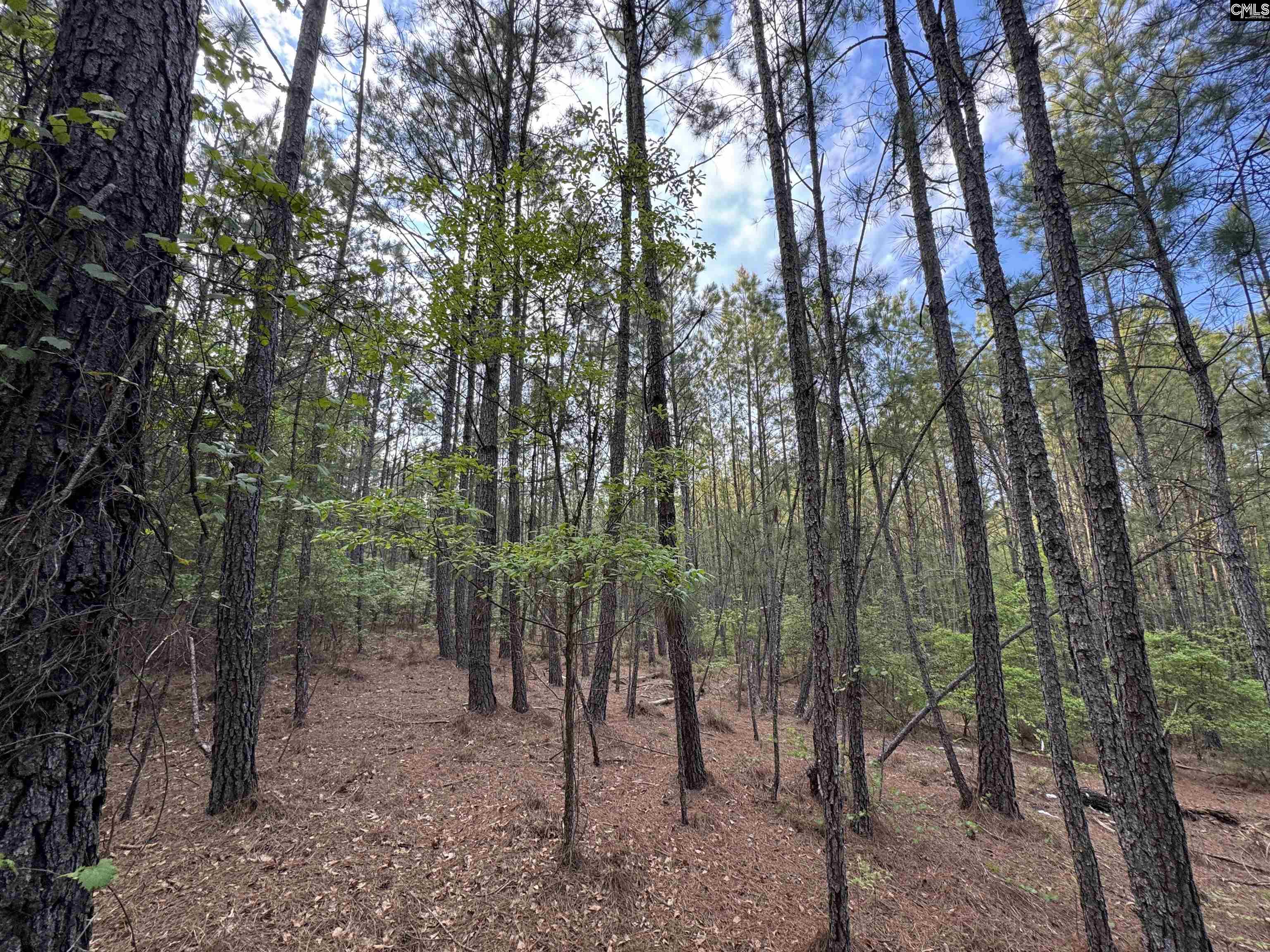 main property photo 25