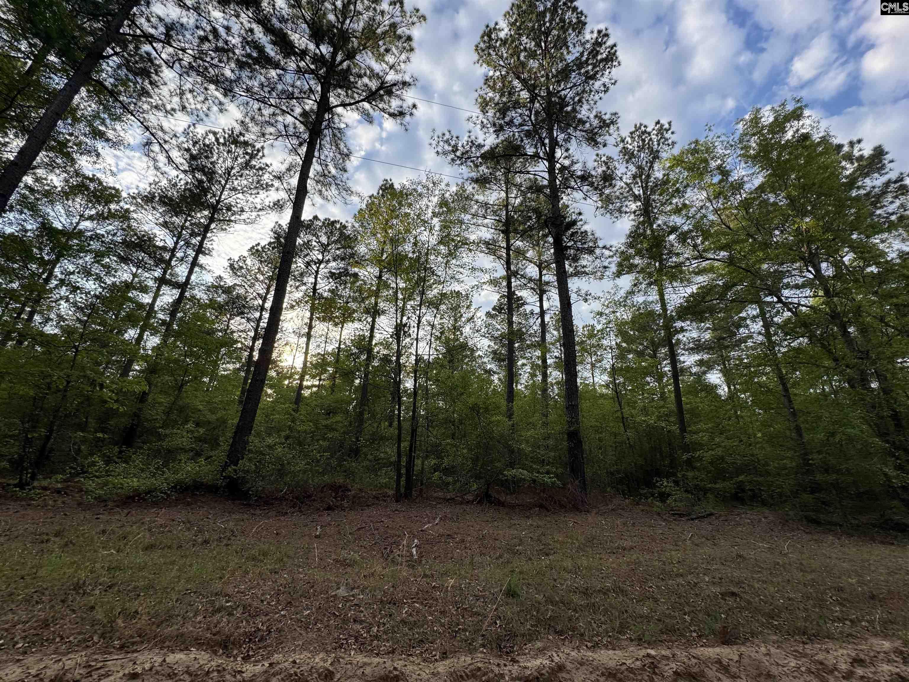 main property photo 45