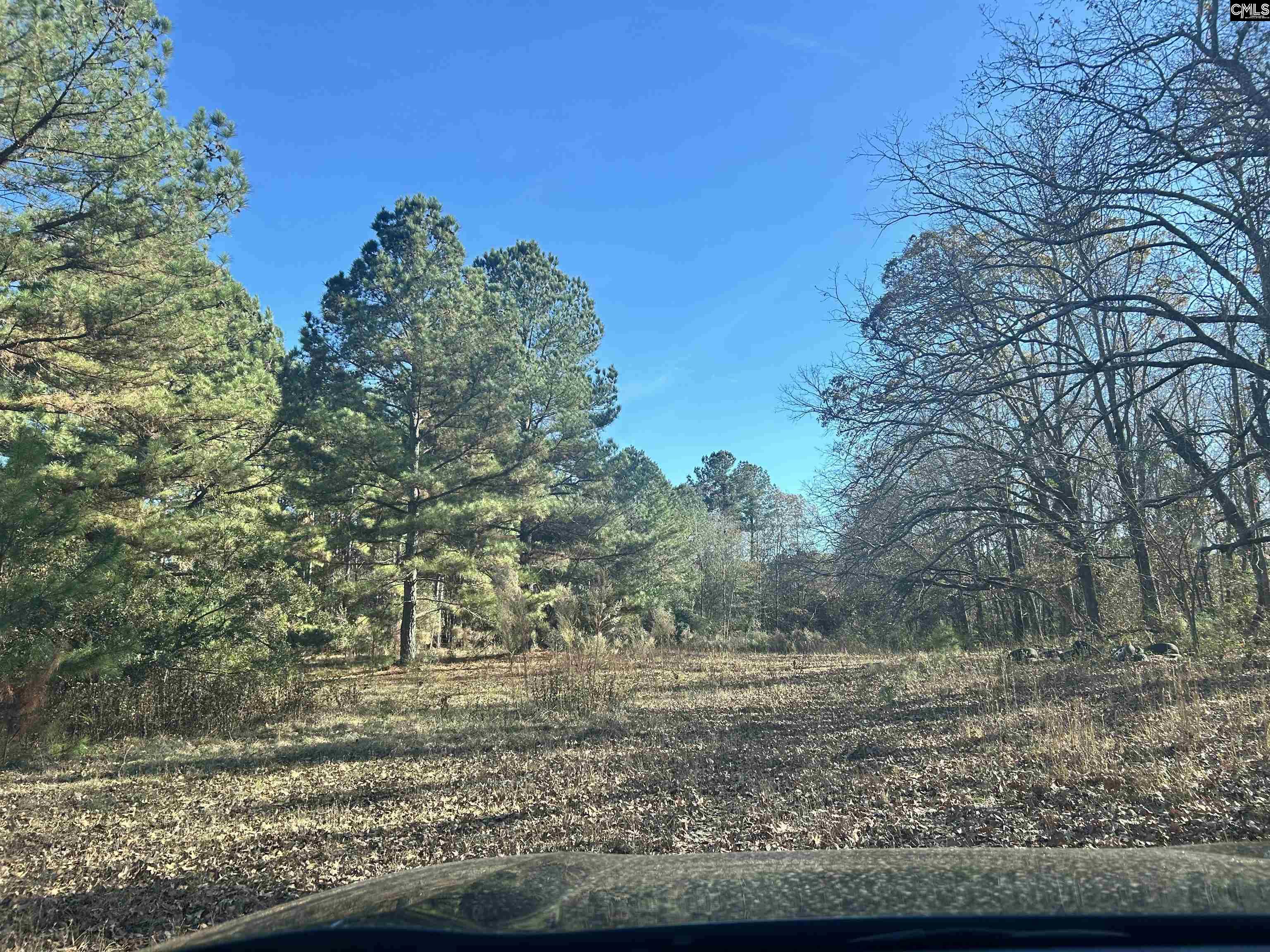 main property photo 31