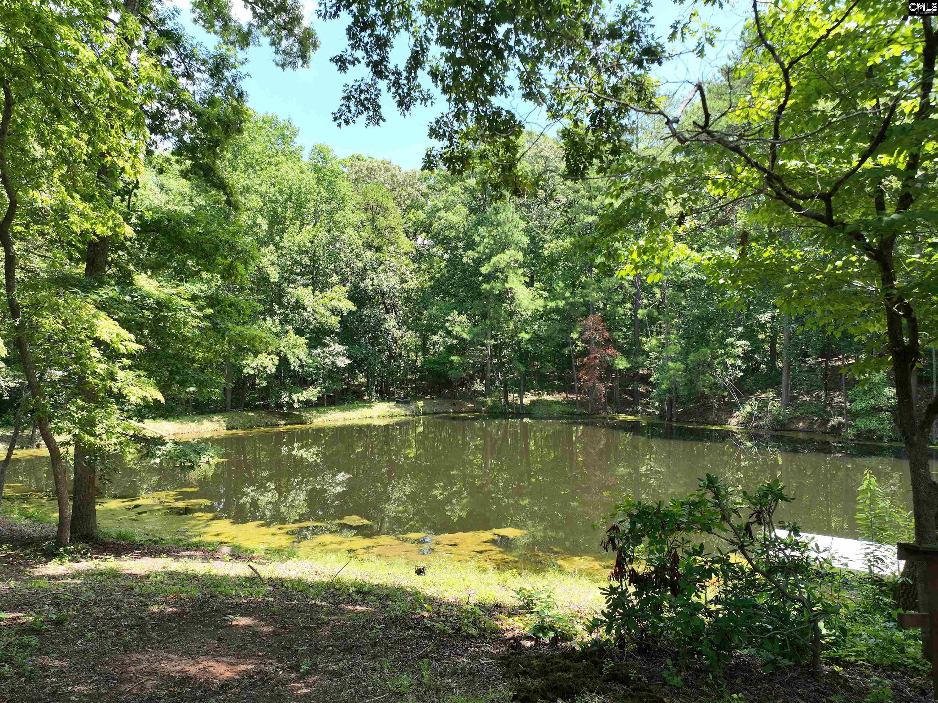 main property photo 54