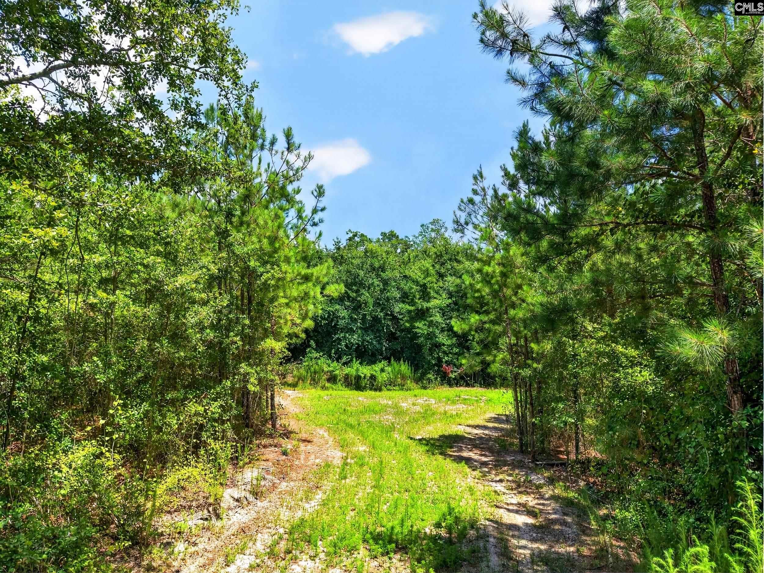 main property photo 53