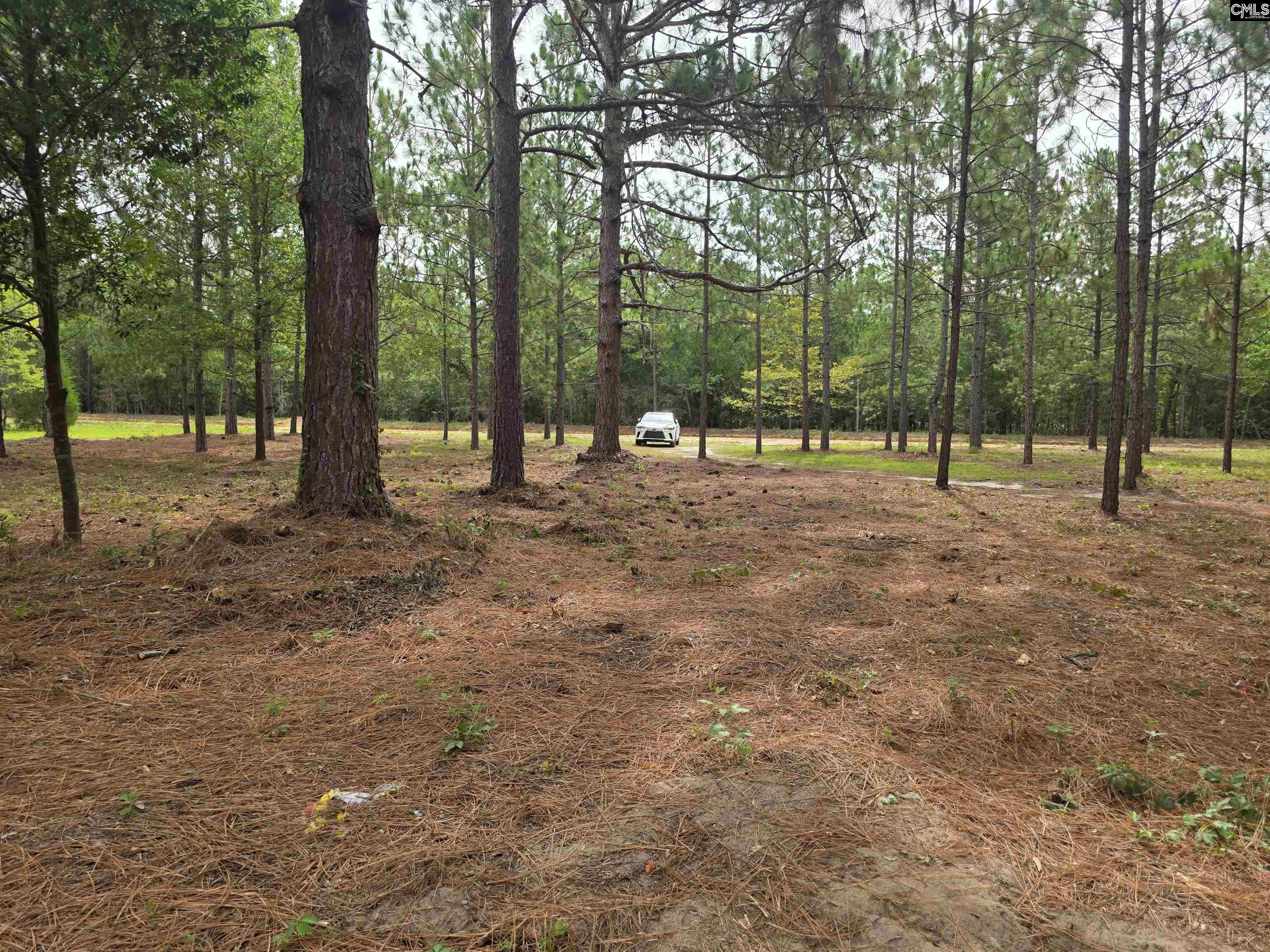 main property photo 22