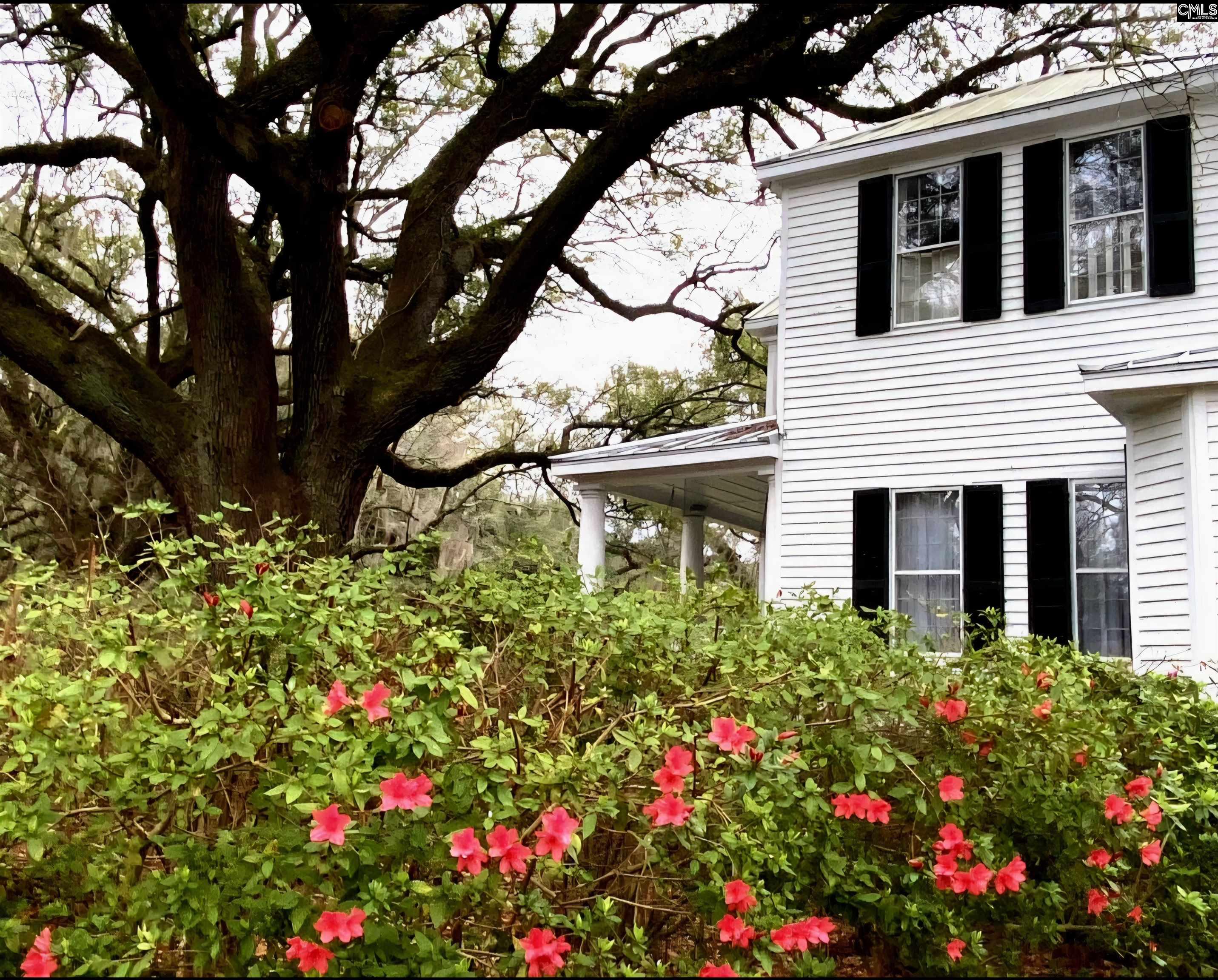 main property photo 91