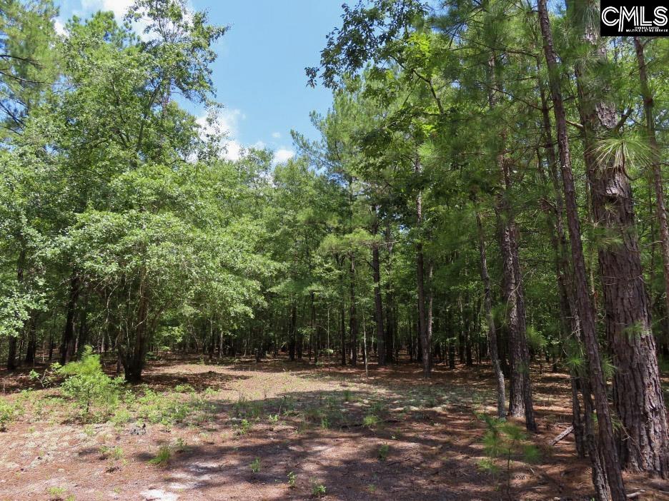 main property photo 51
