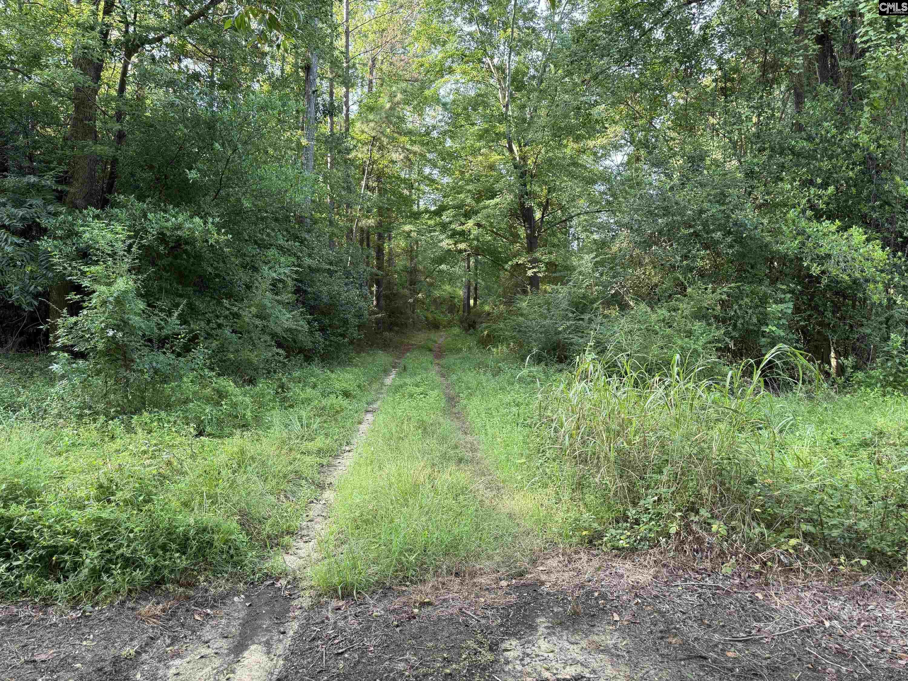 main property photo 13