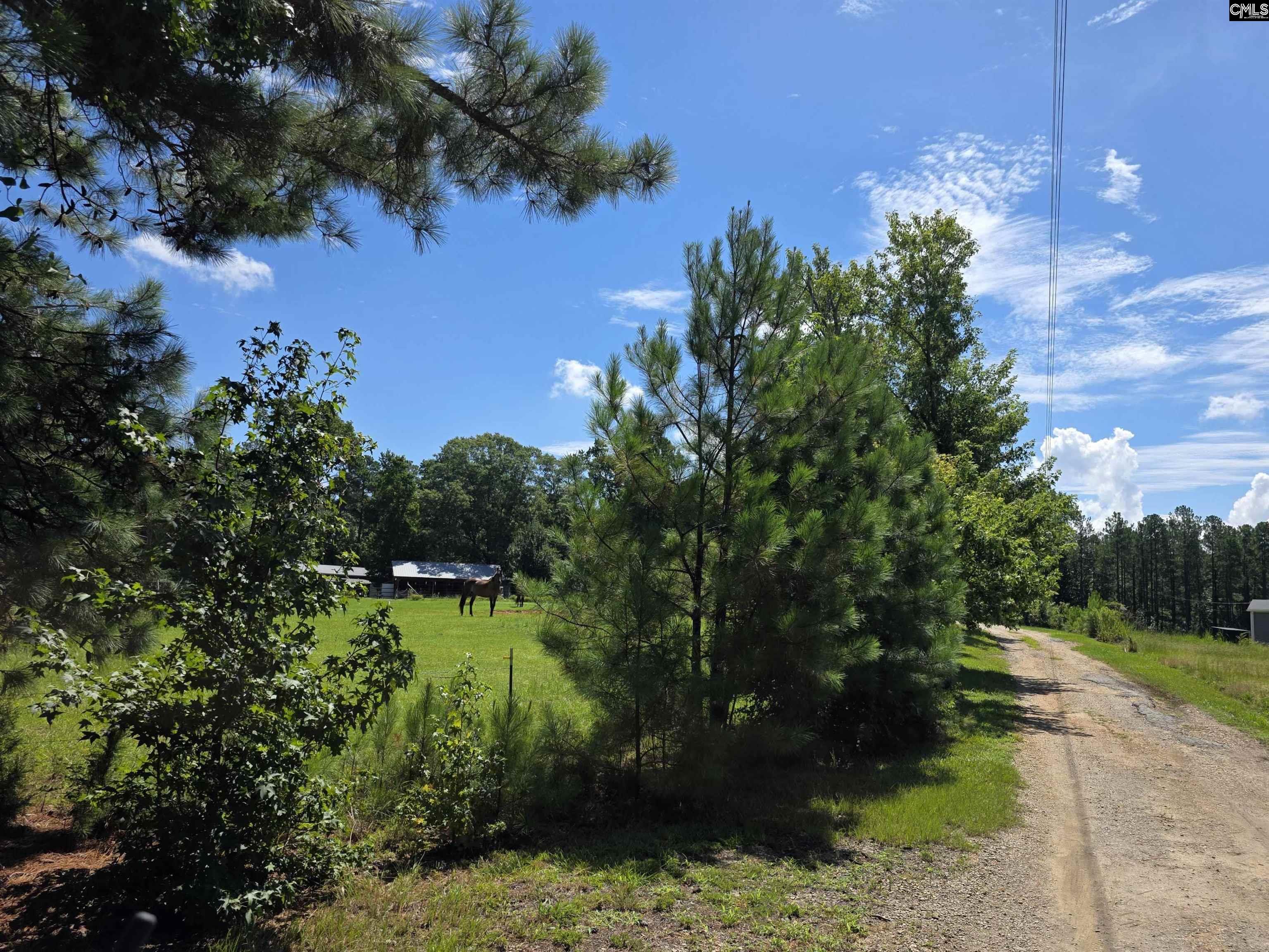 main property photo 8