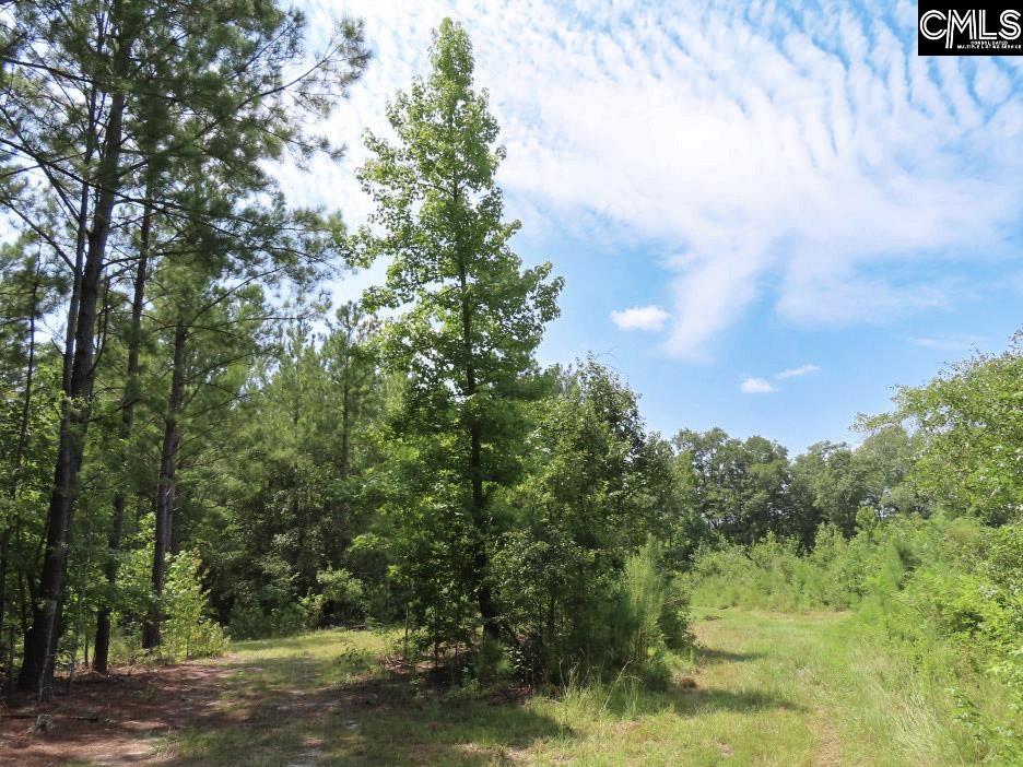 main property photo 50