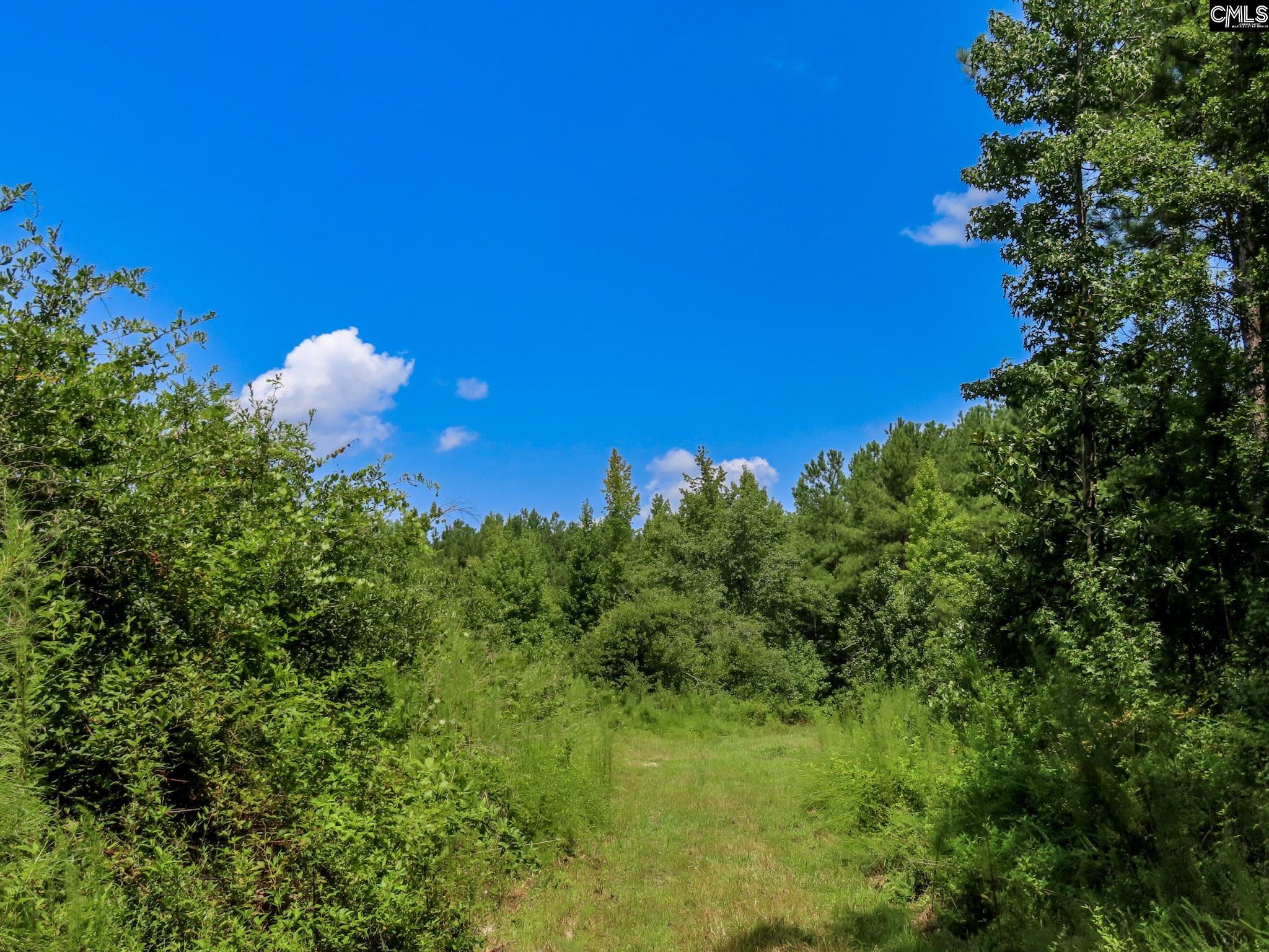 main property photo 56