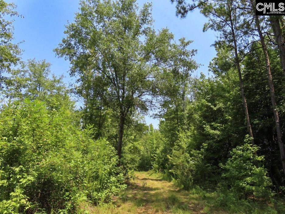 main property photo 58