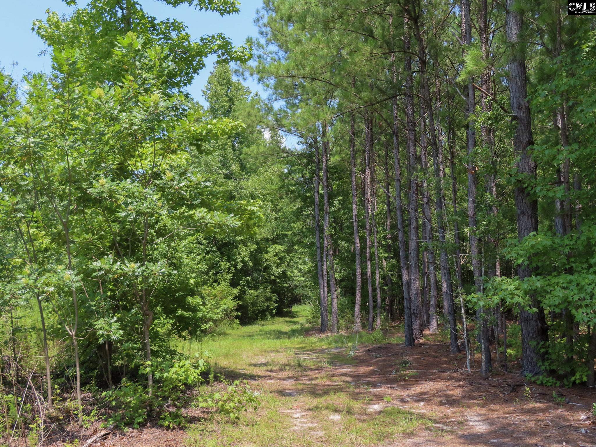 main property photo 91