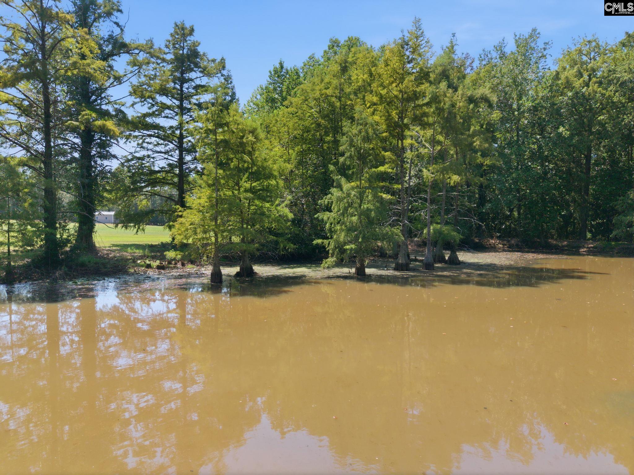main property photo 93