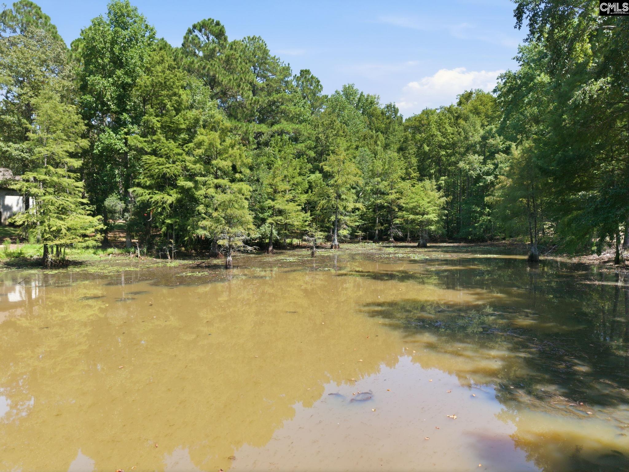main property photo 94