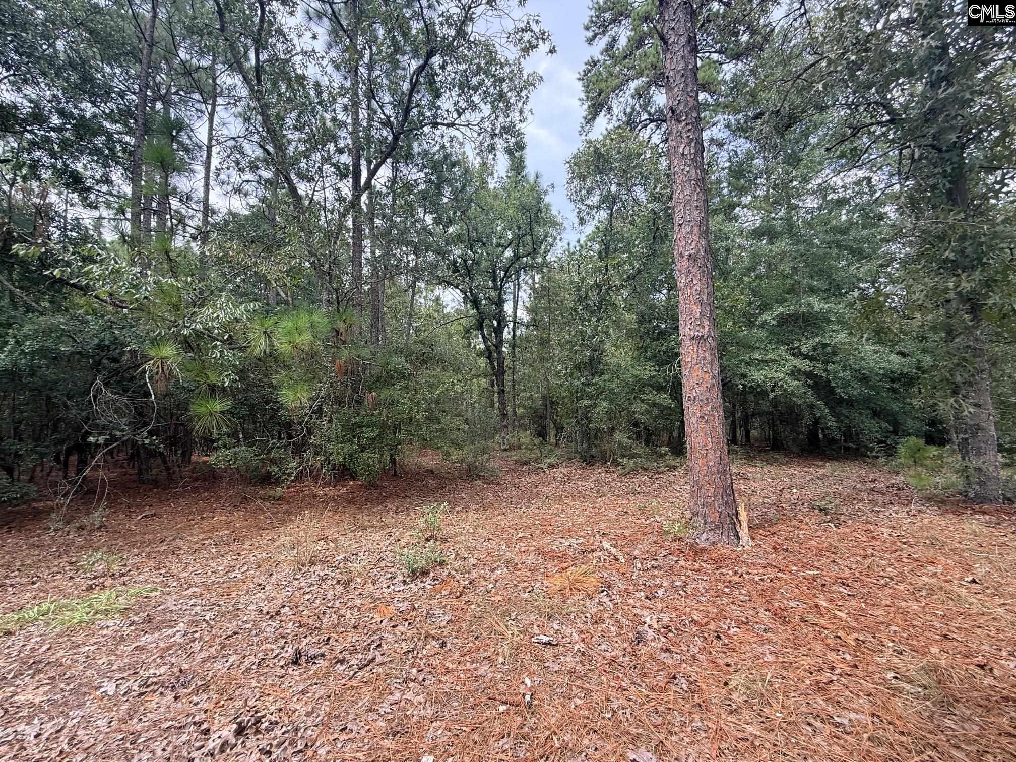 main property photo 13