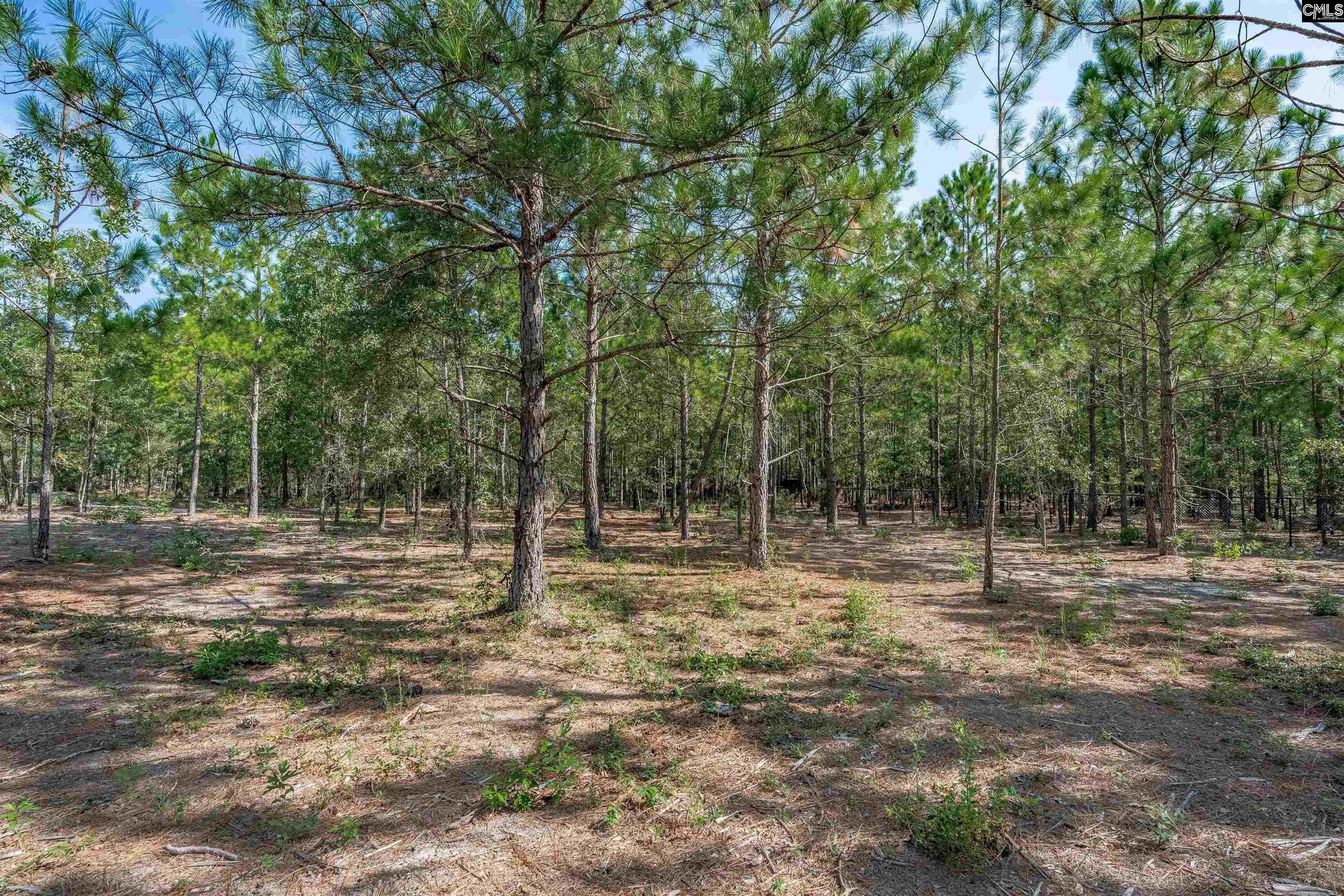 main property photo 42