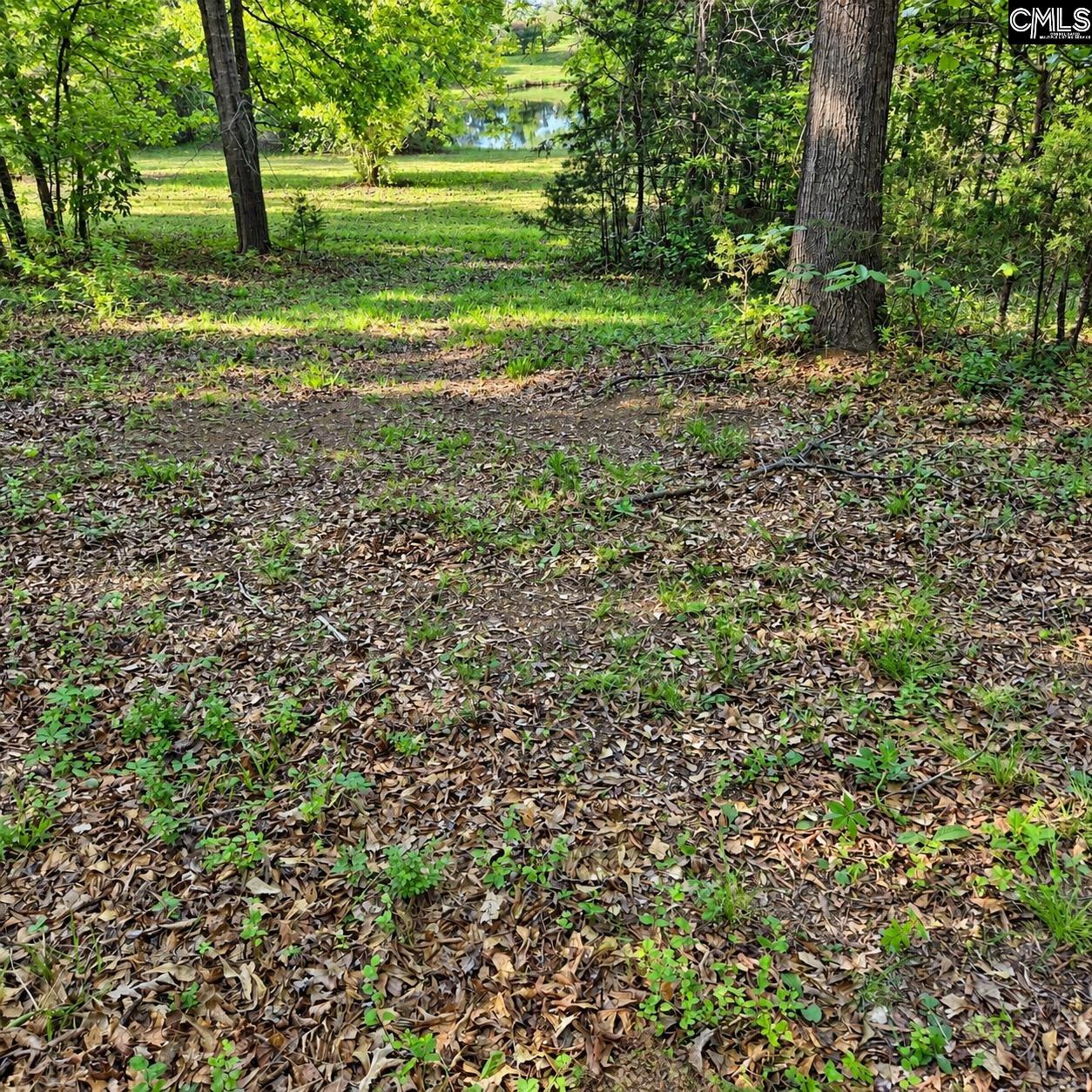 main property photo 48