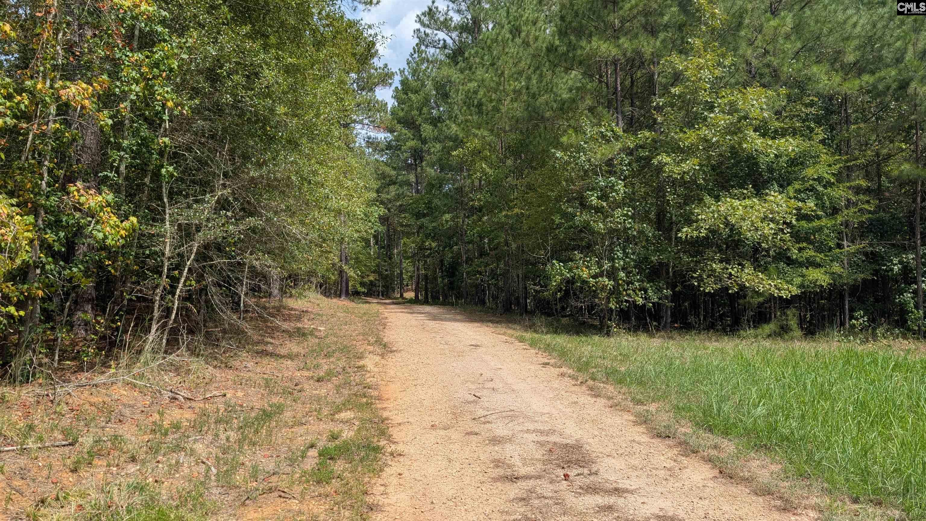 main property photo 41