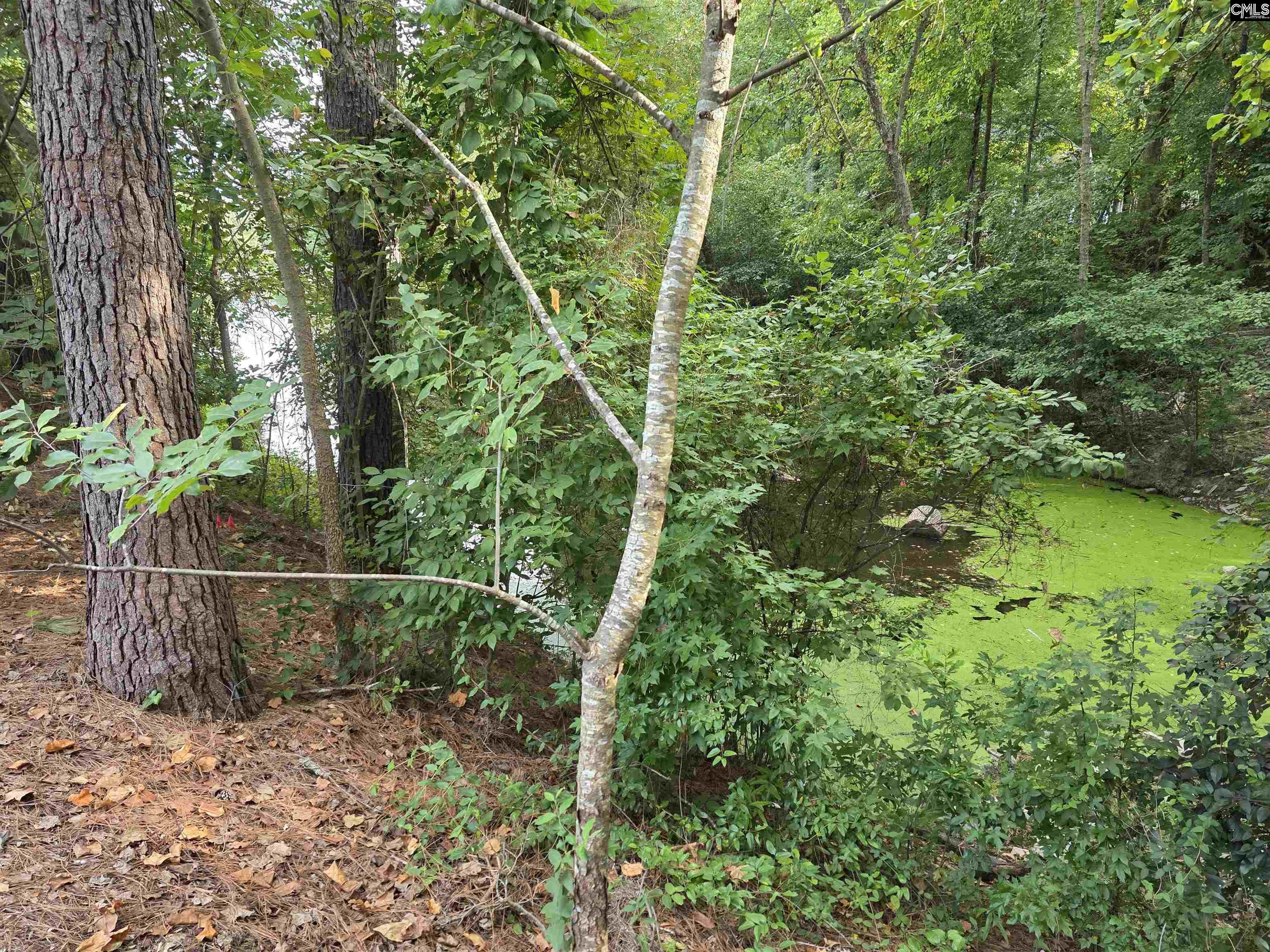 main property photo 60
