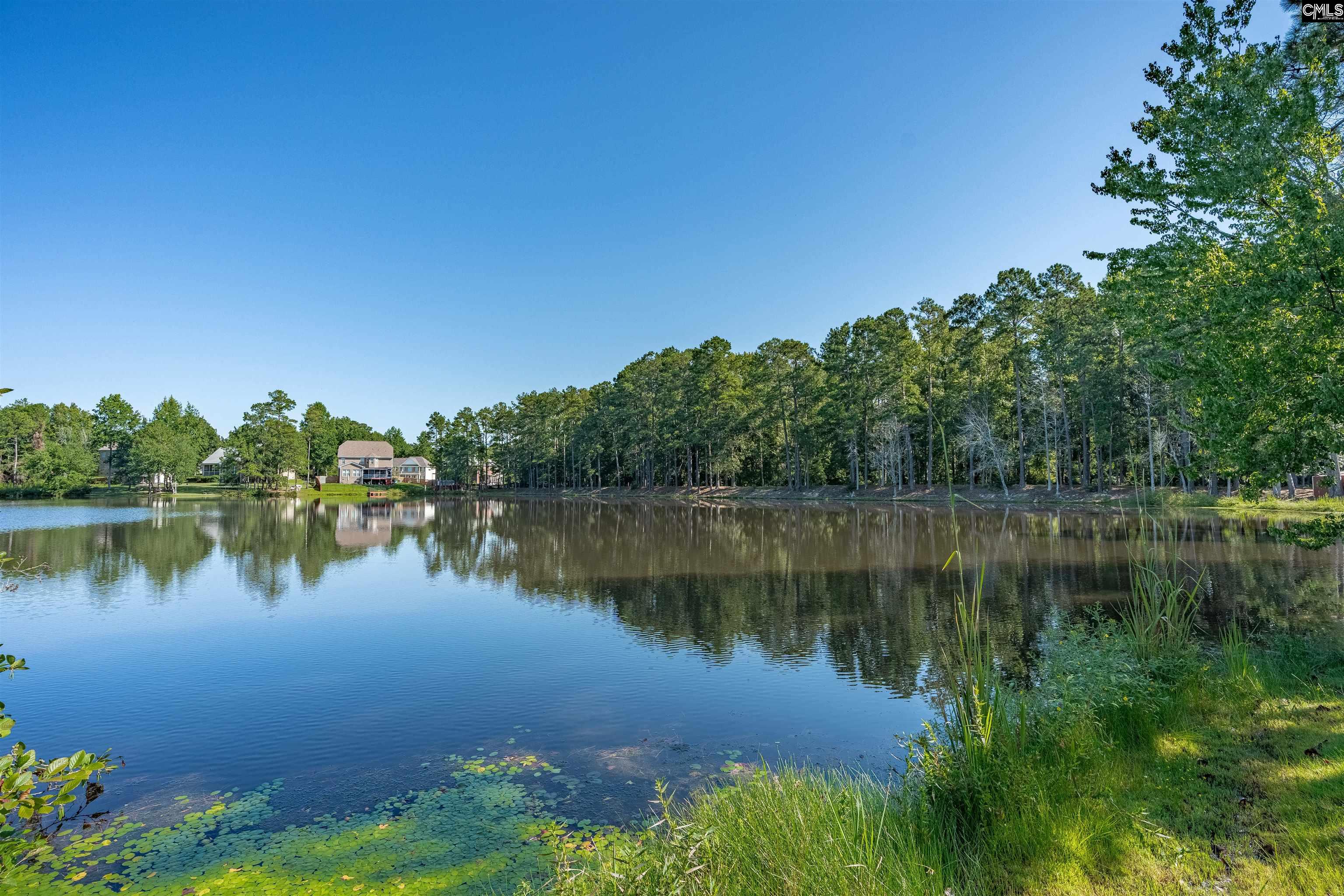 main property photo 54