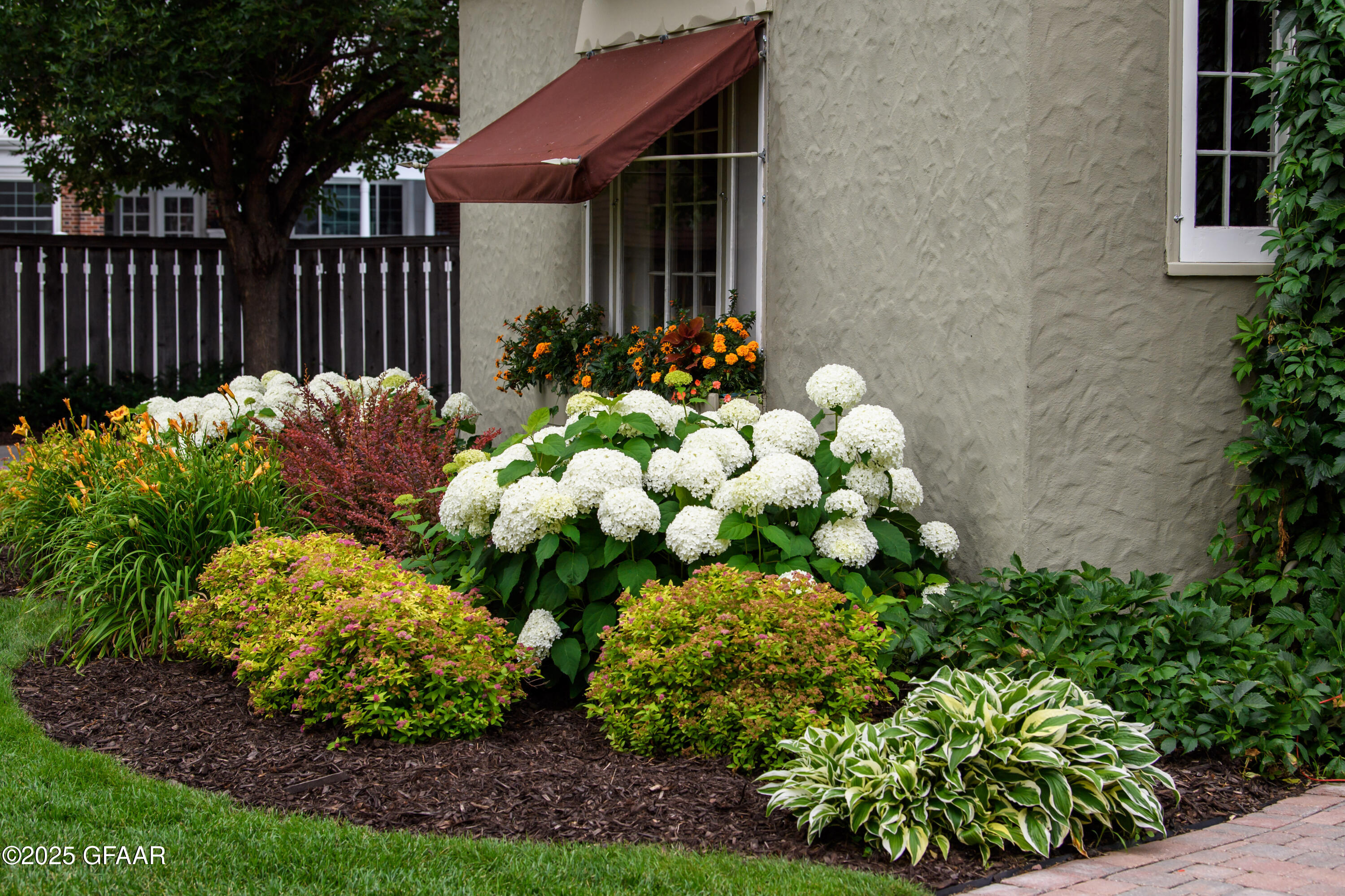 property viewer photo 64