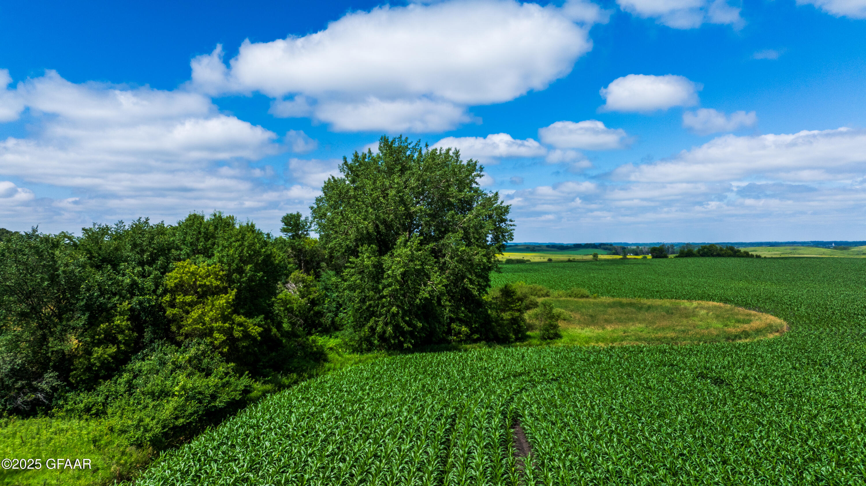 property viewer photo 15