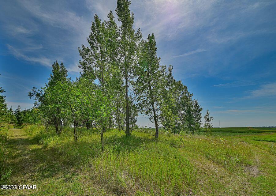 main property photo 86