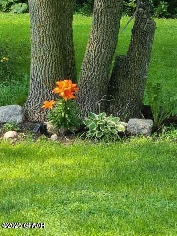property viewer photo 4