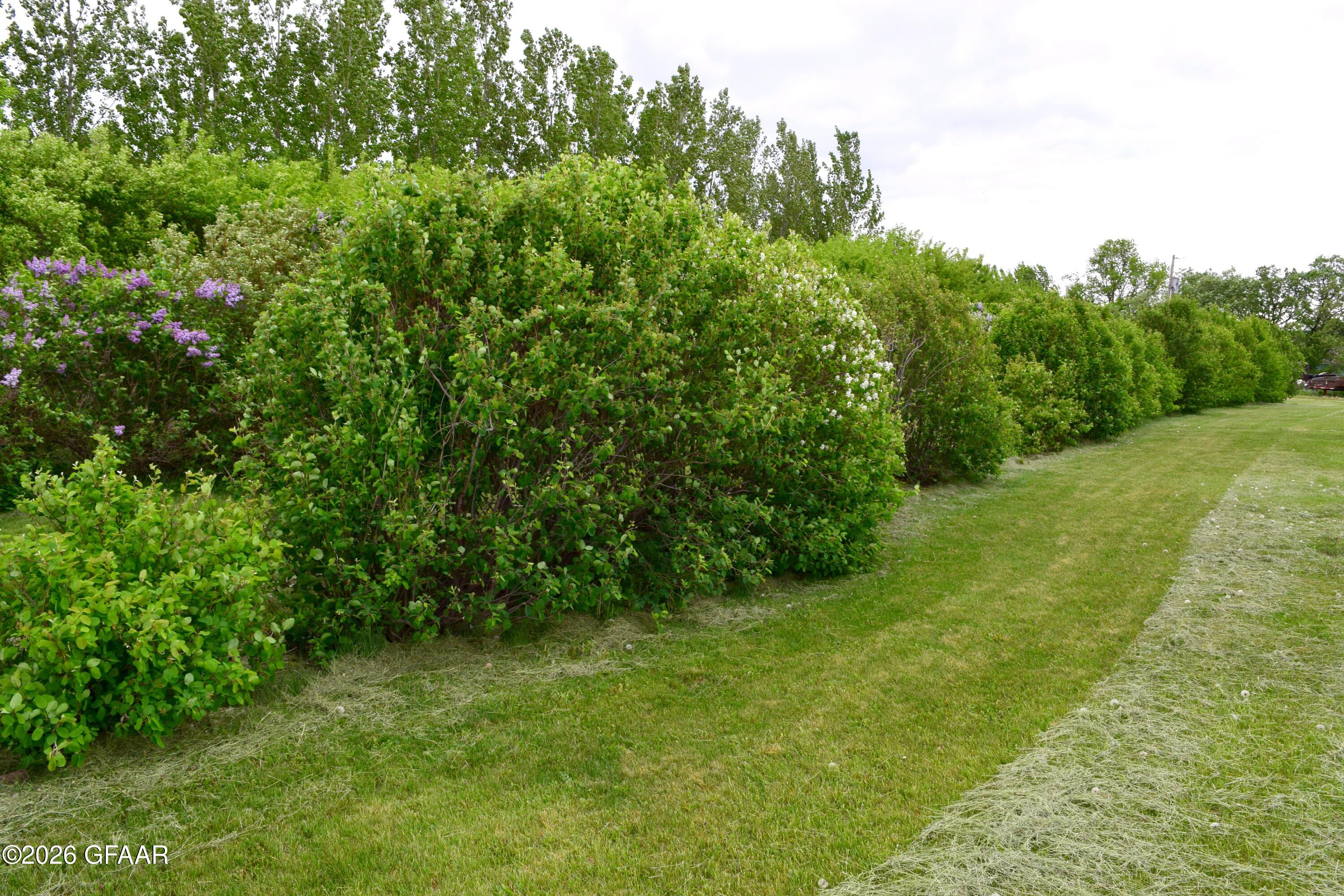 main property photo 72