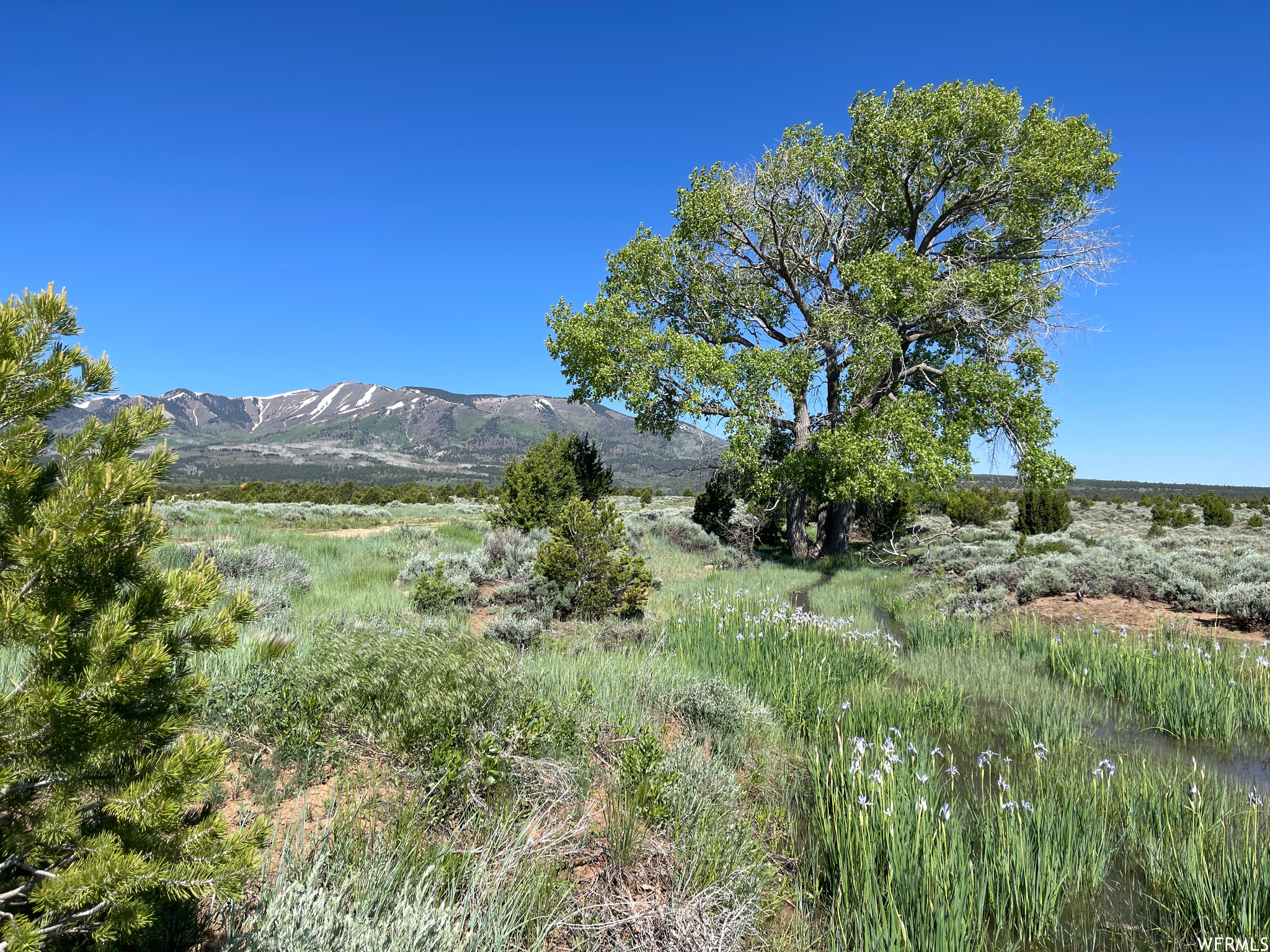 main property photo 10