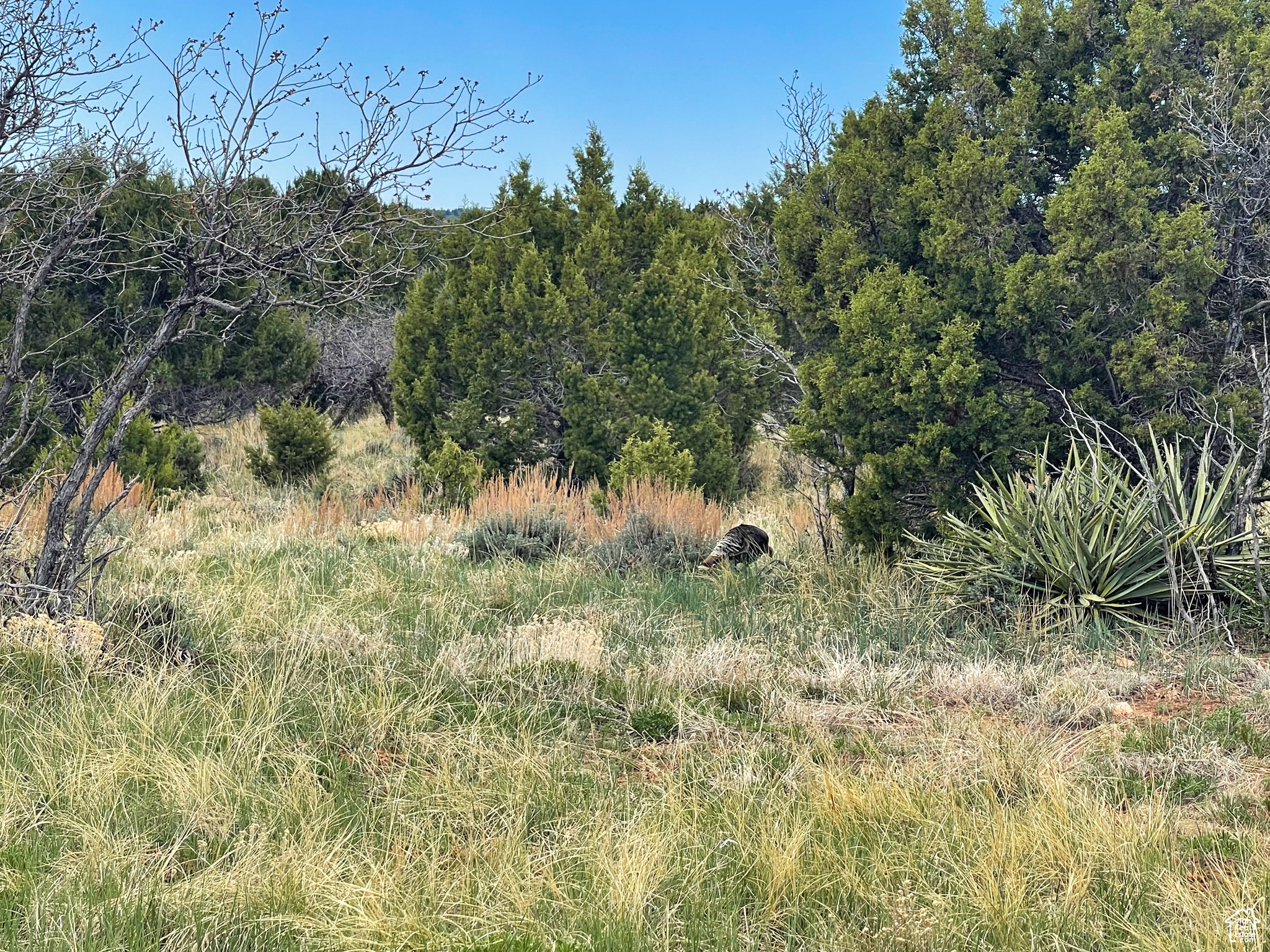 main property photo 10