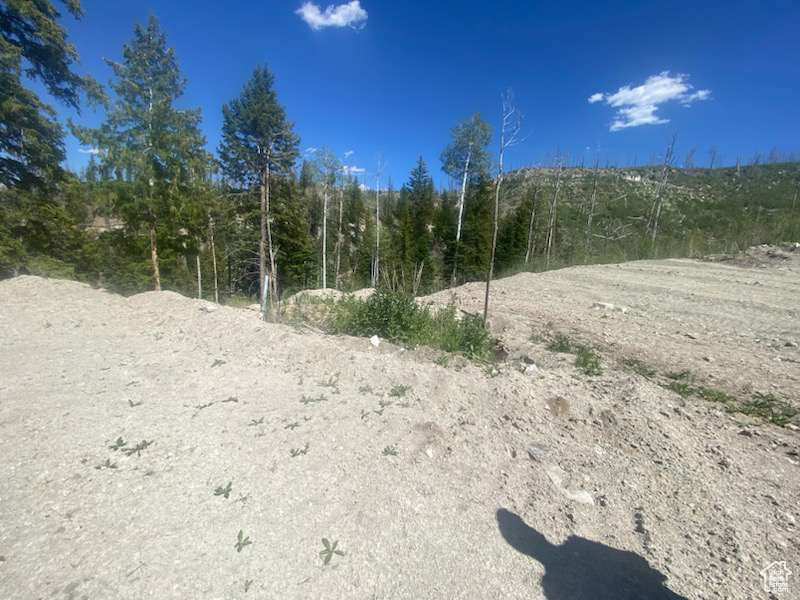 main property photo 57