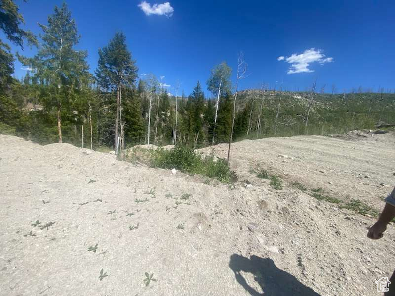 main property photo 58