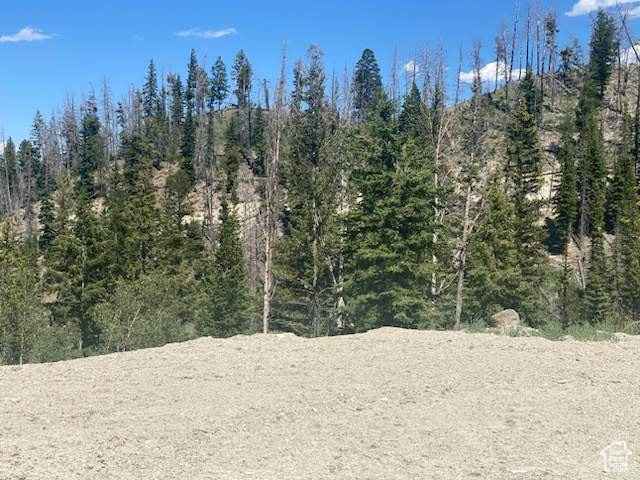 main property photo 63