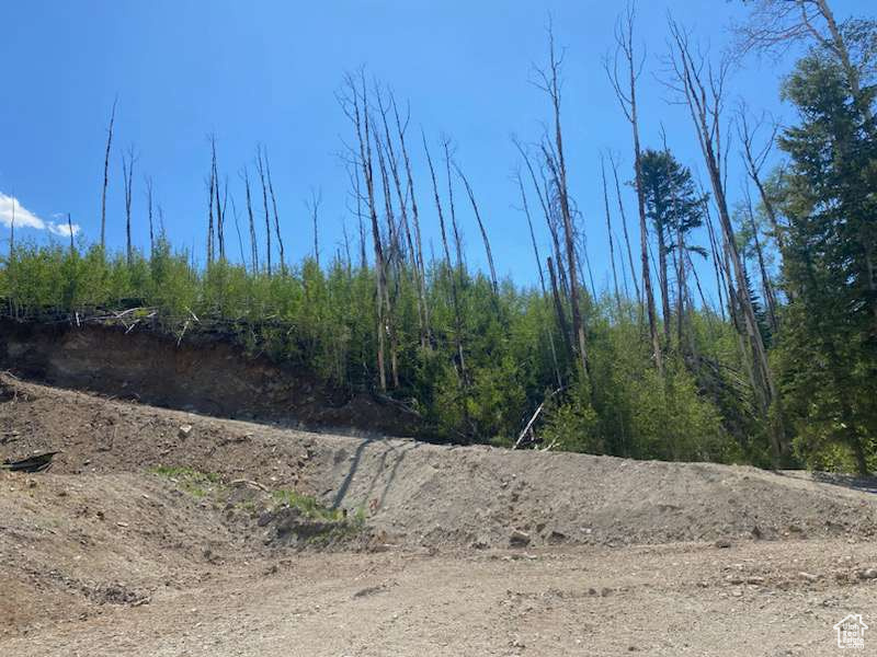 main property photo 69