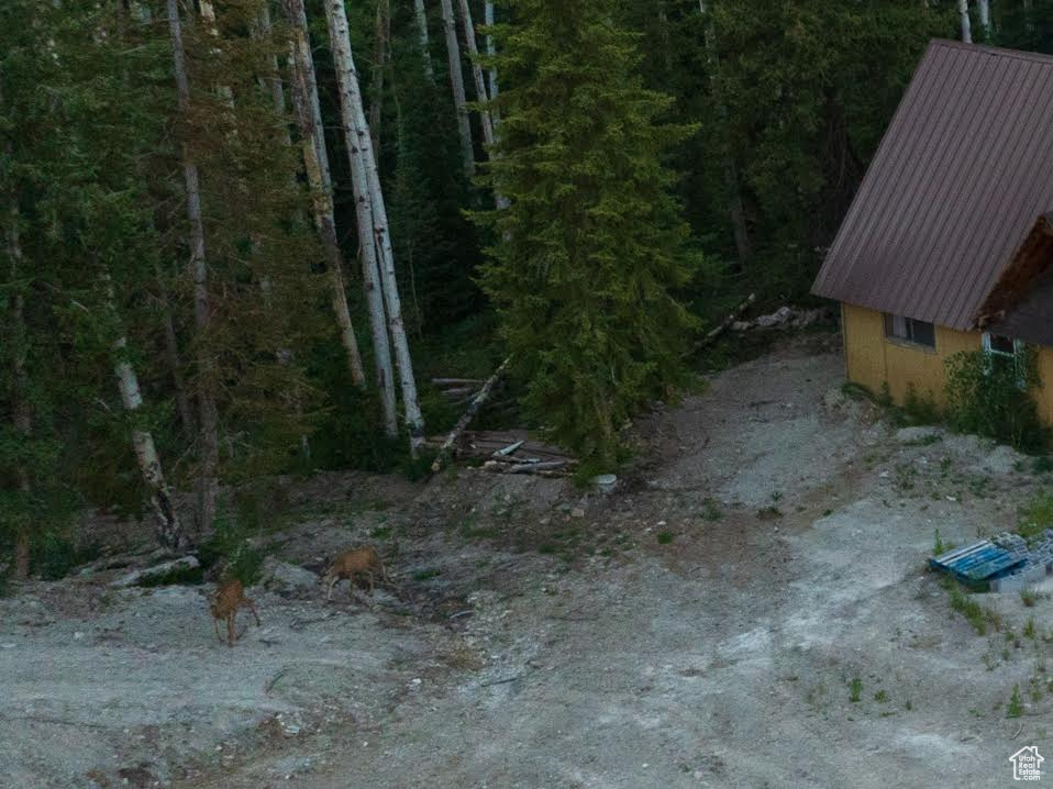 main property photo 84